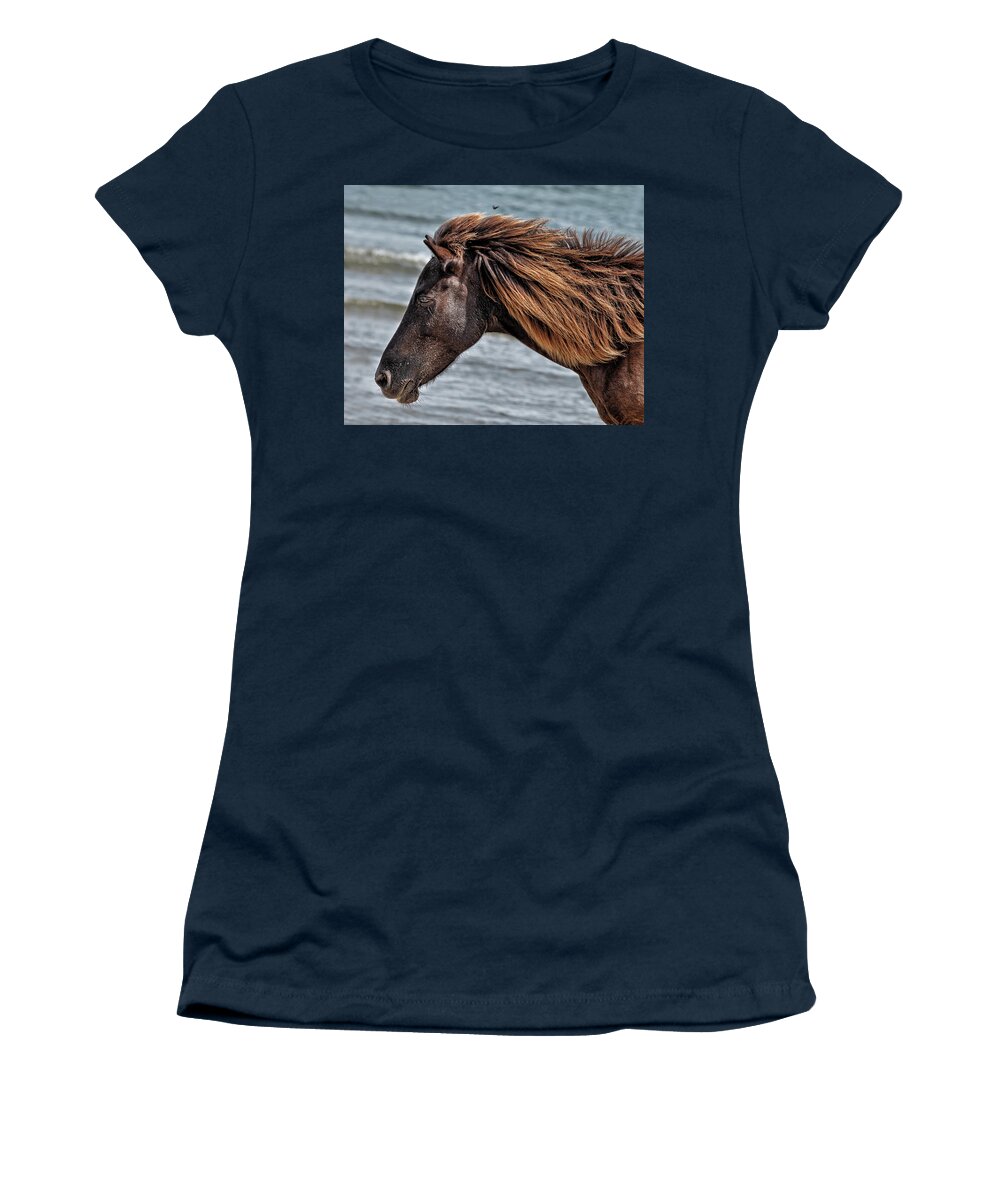 Horse Women's T-Shirt featuring the photograph Shackleford Stallion by Fon Denton