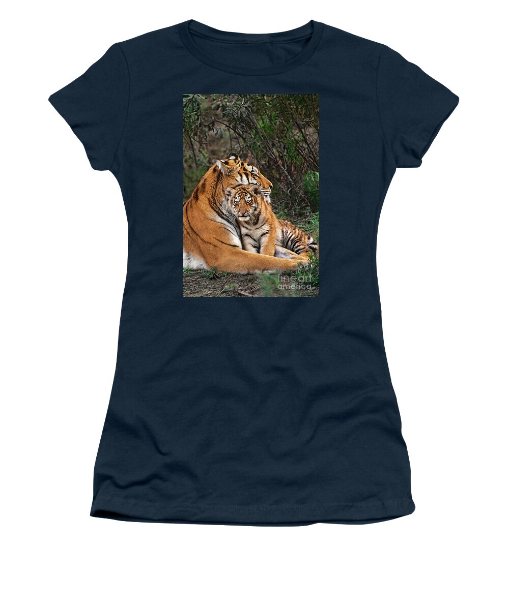 Siberian Tiger Women's T-Shirt featuring the photograph Siberian Tiger Mother and Cub Endangered Species Wildlife Rescue by Dave Welling