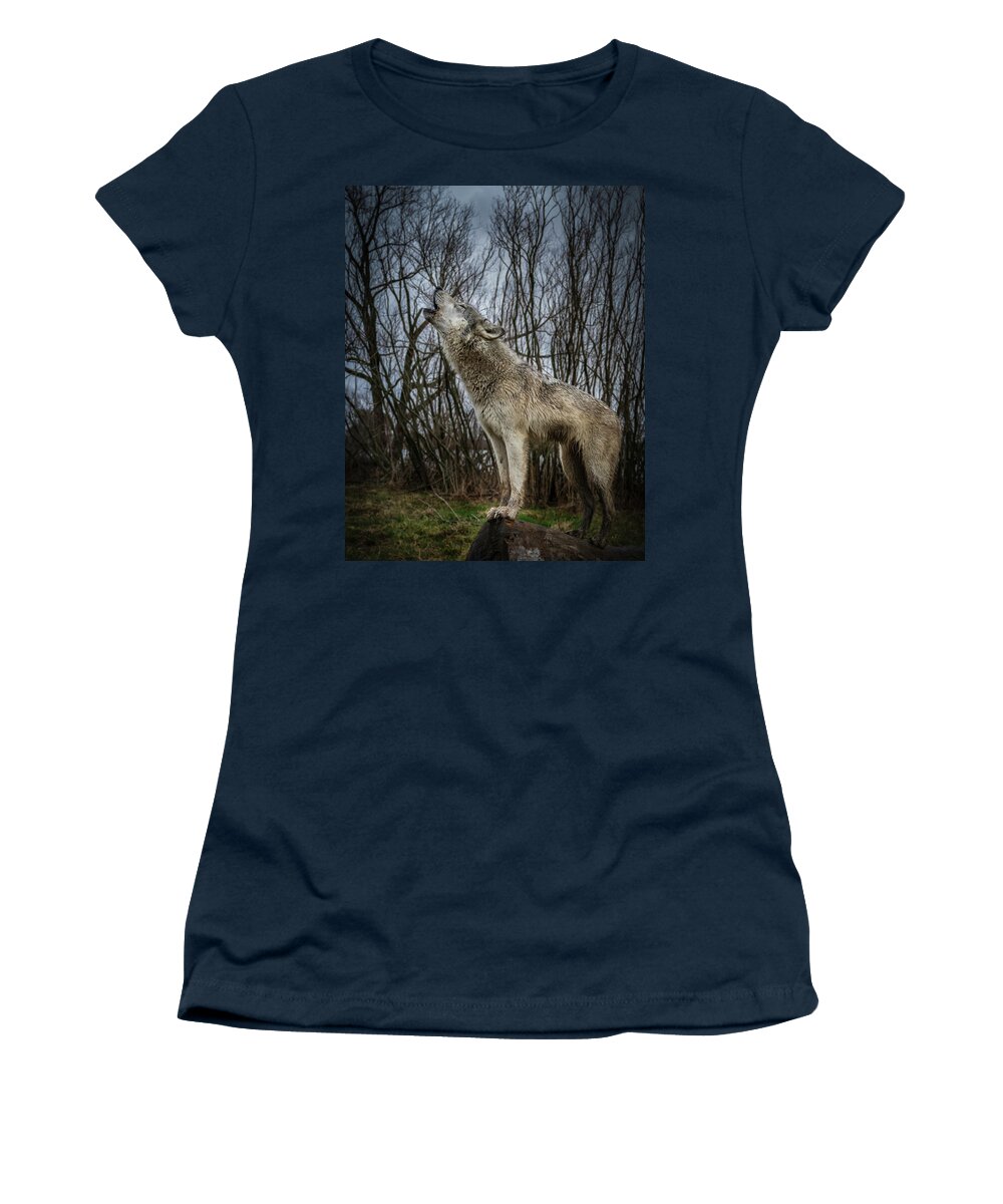 Wolves Wolf Howling Women's T-Shirt featuring the photograph Singin by Laura Hedien