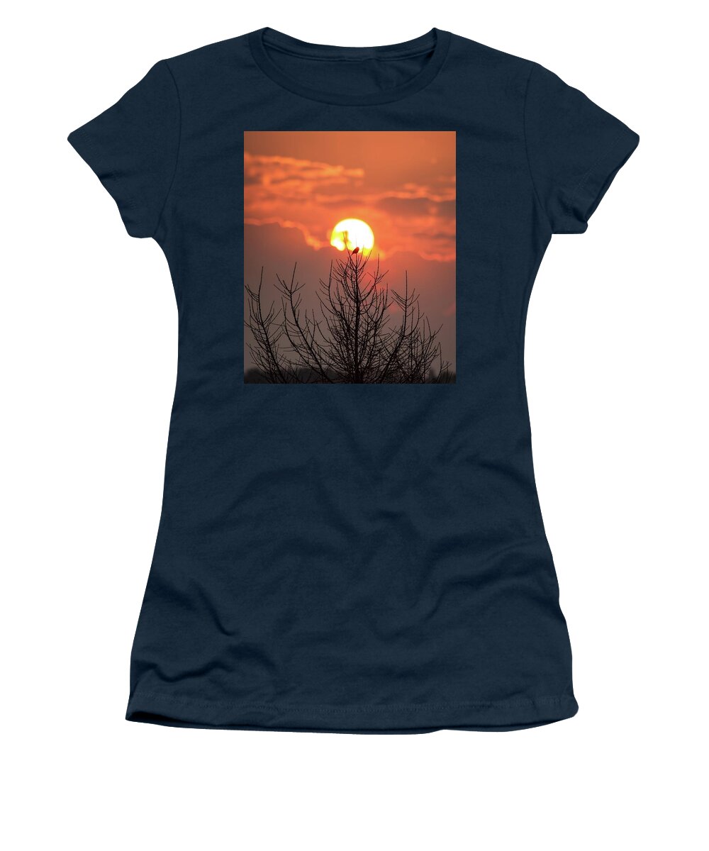 Spring Women's T-Shirt featuring the photograph Singing Against A New Spring by Rose-Marie Karlsen