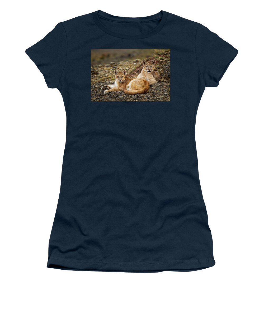 Sebastian Kennerknecht Women's T-Shirt featuring the photograph Six Month Old Mountain Lions, Patagonia by Sebastian Kennerknecht