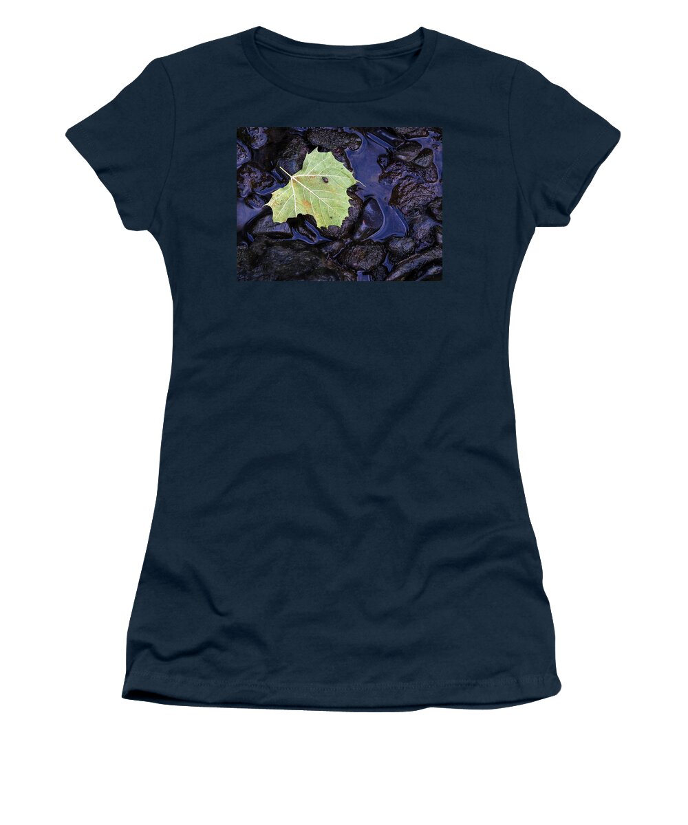 Snail Women's T-Shirt featuring the photograph Snail on a Leaf by Buck Buchanan