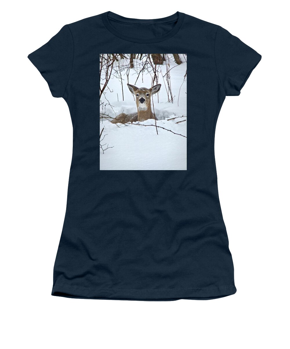 Snow Women's T-Shirt featuring the photograph Snow Deer by Kathy Ozzard Chism