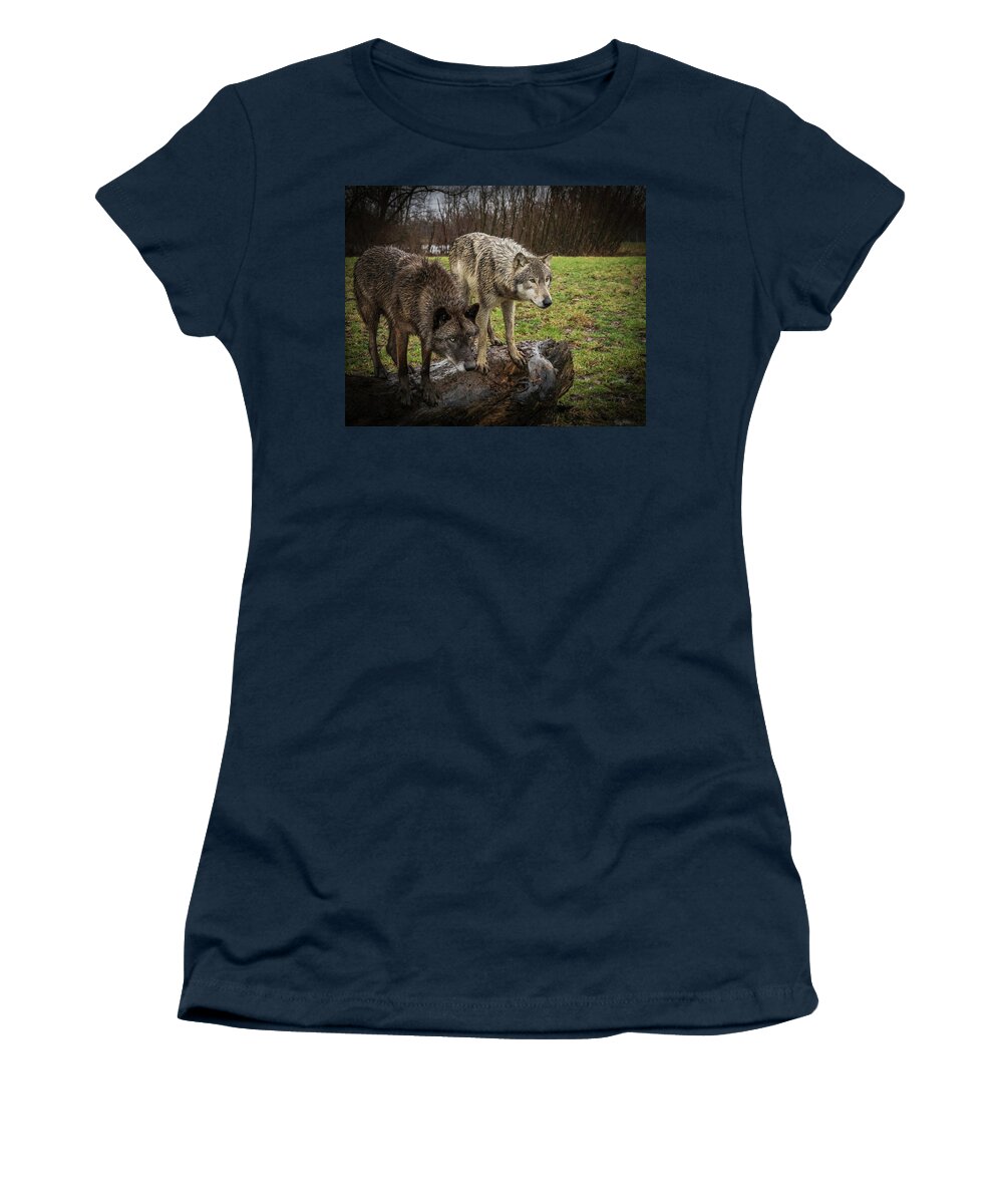 Black Wolf Wolves Women's T-Shirt featuring the photograph Sort of Twins by Laura Hedien