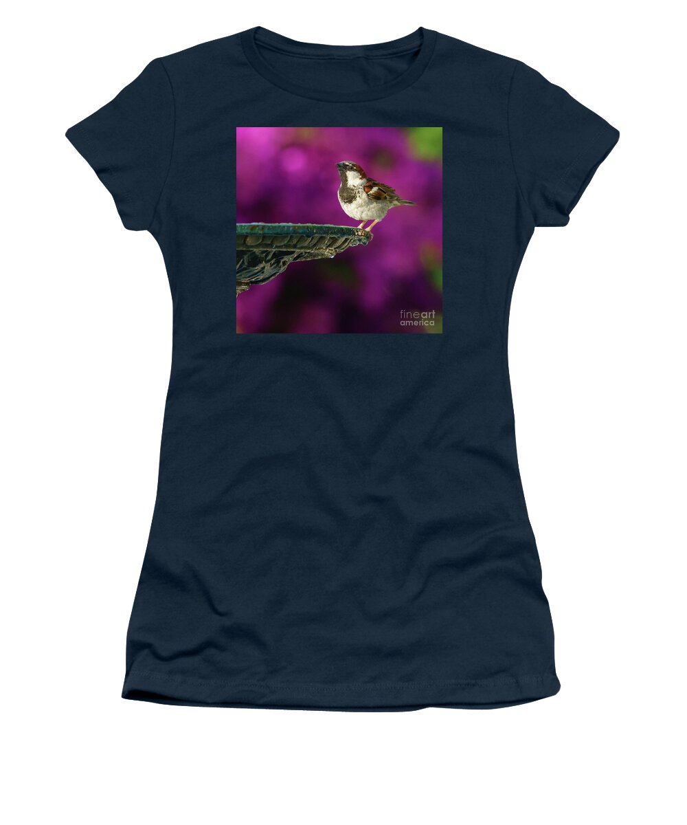 Feather Women's T-Shirt featuring the photograph Spanish Sparrow and Iron Fountain by Pablo Avanzini