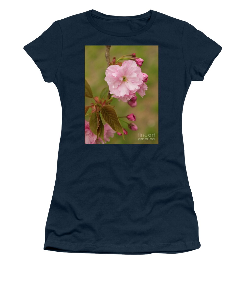 Central Park Women's T-Shirt featuring the photograph Springtime Blossoms In Central Park 10 by Dorothy Lee