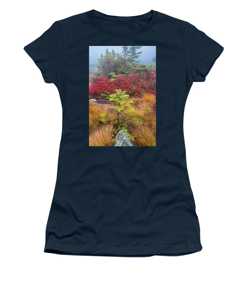 Jeff Foott Women's T-Shirt featuring the photograph Spruce And Autumn Blueberry by Jeff Foott
