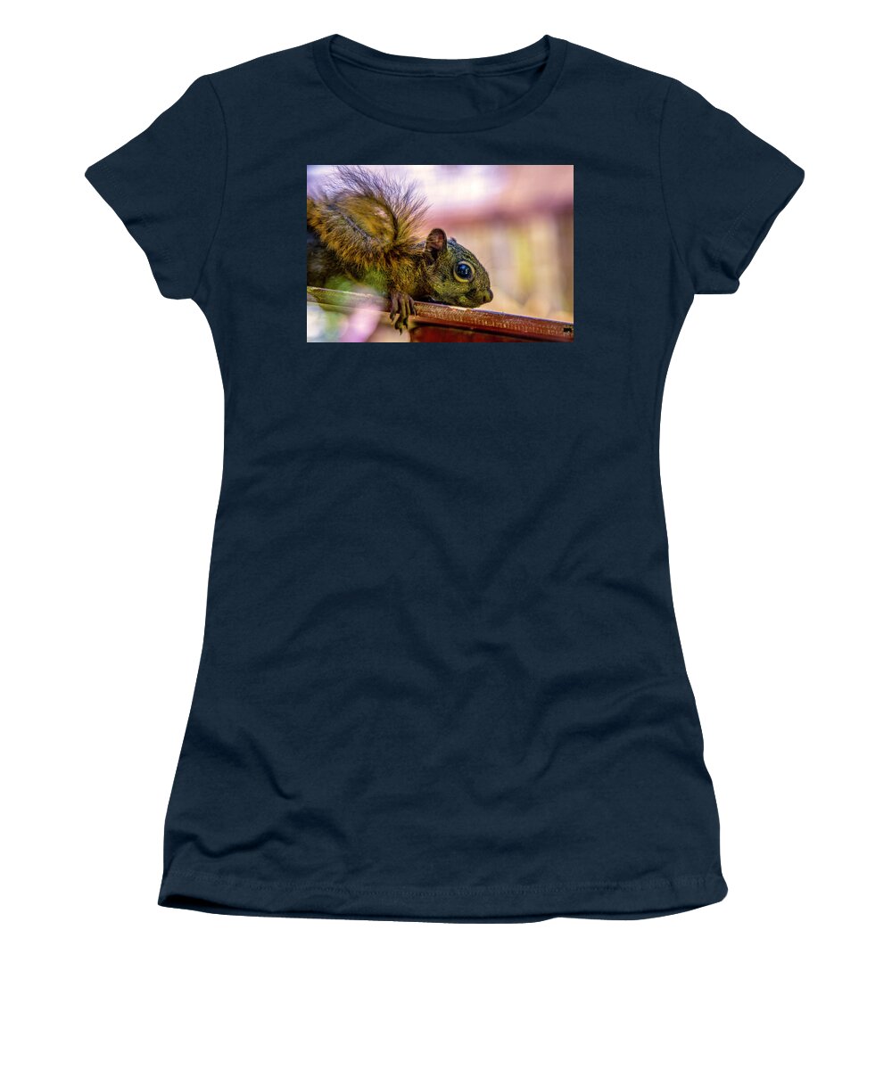 Squirrel Women's T-Shirt featuring the photograph Squirrels Watchful Eye by Pheasant Run Gallery