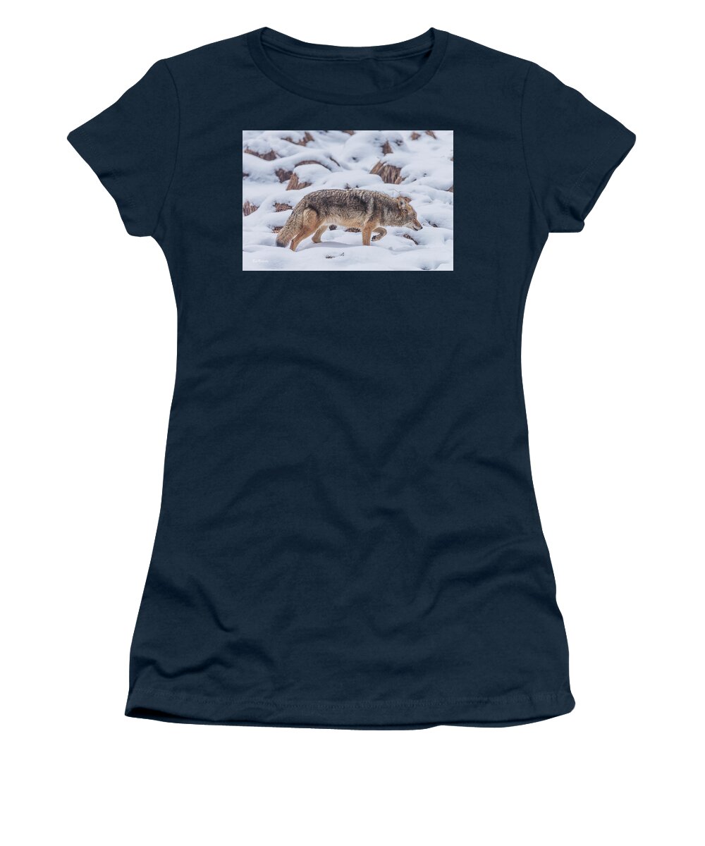 Yosemte National Park Women's T-Shirt featuring the photograph Stalking by Bill Roberts