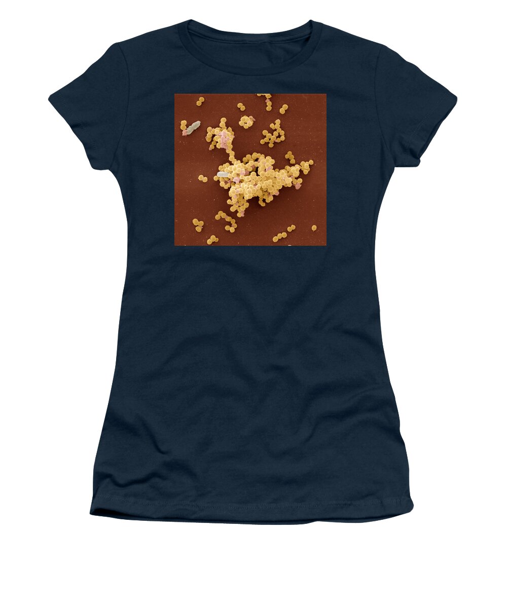 Bacteria Women's T-Shirt featuring the photograph Staphylococcus Aureus Bacteria by Meckes/ottawa