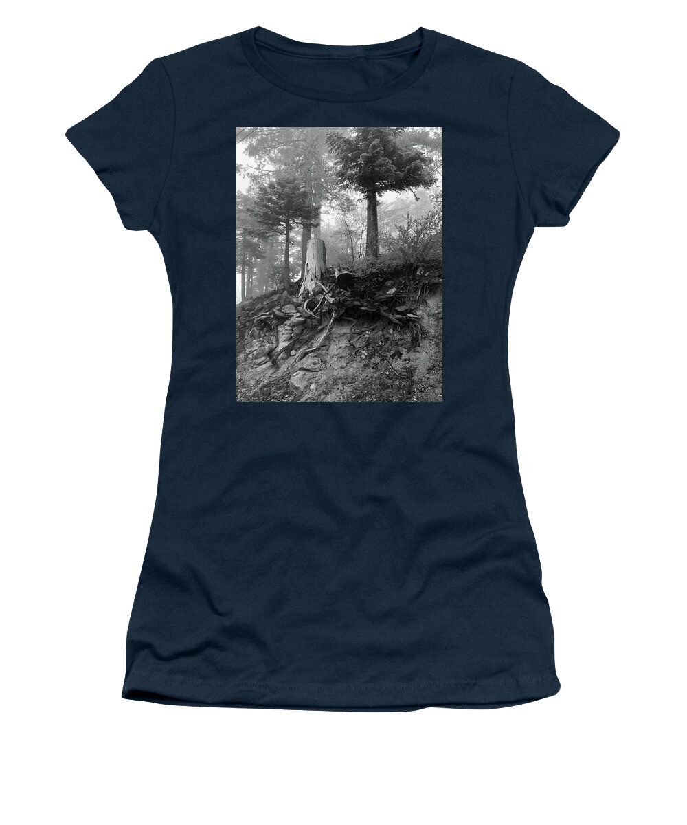 Tree Women's T-Shirt featuring the photograph Still standing by Jeremy McKay