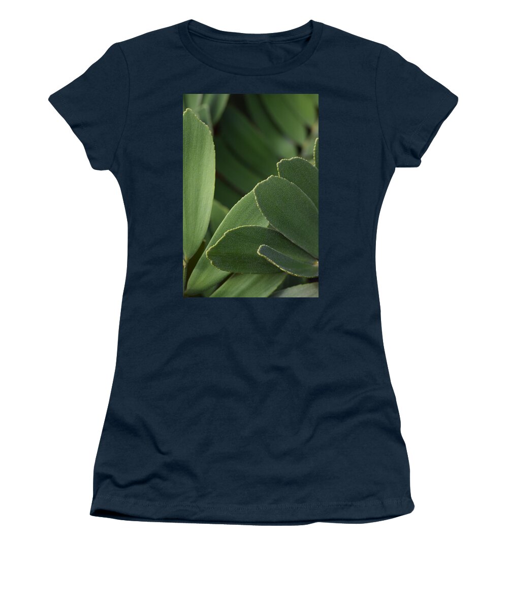 Raw Photo Women's T-Shirt featuring the photograph Succulent Leaves by Debra Grace Addison