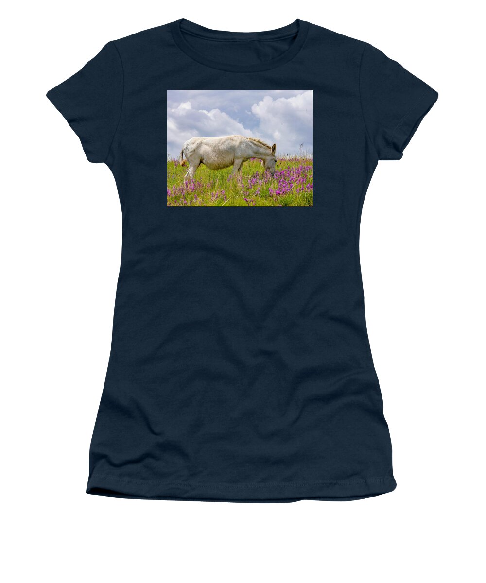 Wild Burro Women's T-Shirt featuring the photograph Sweet Burro by Susan Rydberg