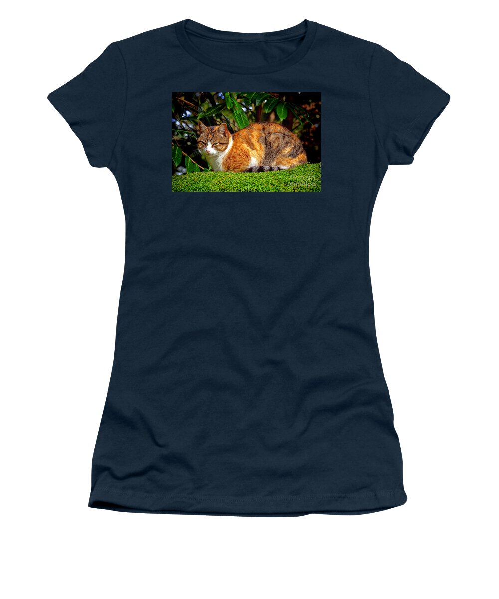 Tabby Women's T-Shirt featuring the photograph Tabby by Olivier Le Queinec