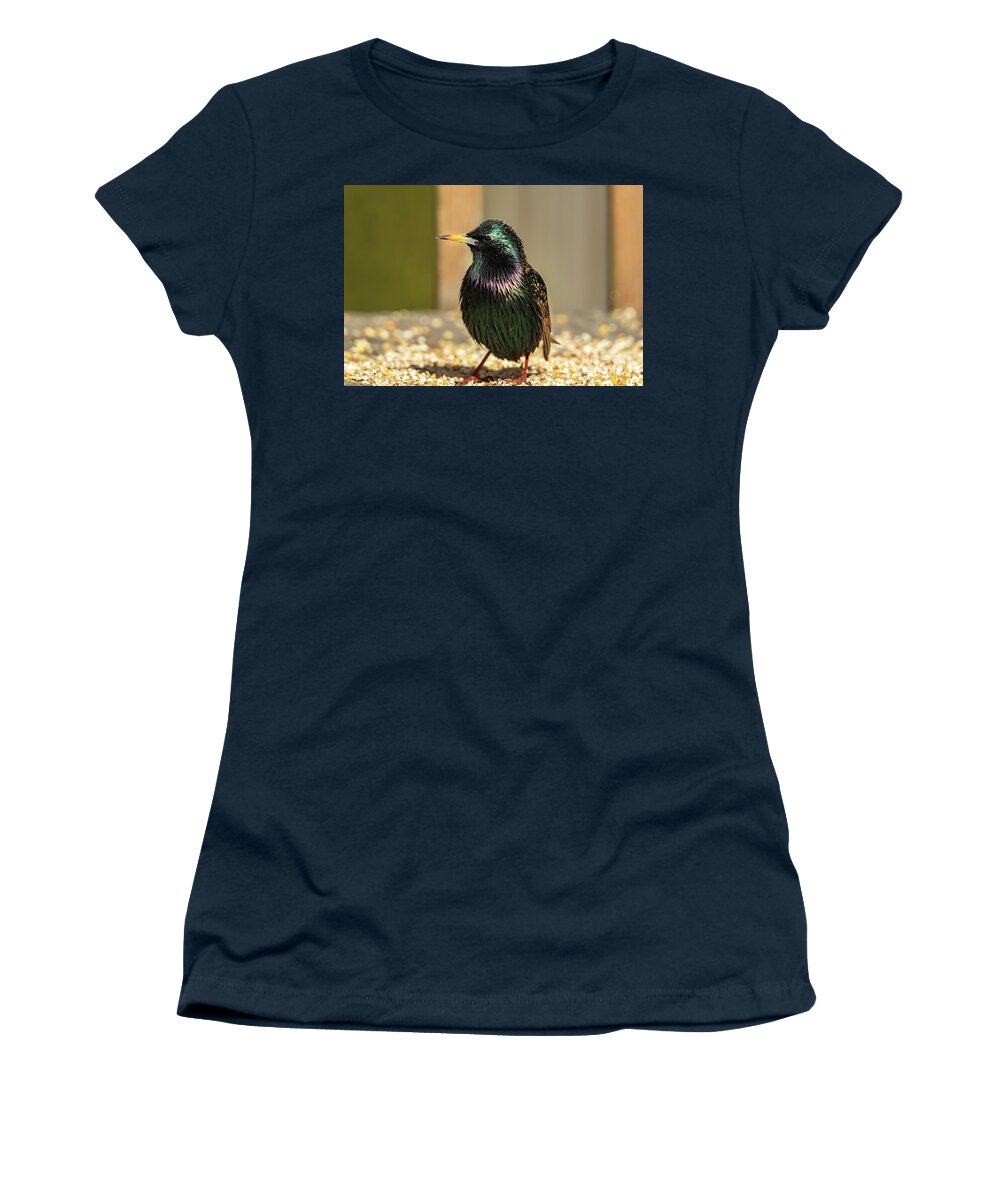 Bird Women's T-Shirt featuring the photograph The Iridescent Plumage of a Starling Bird by Sandra J's