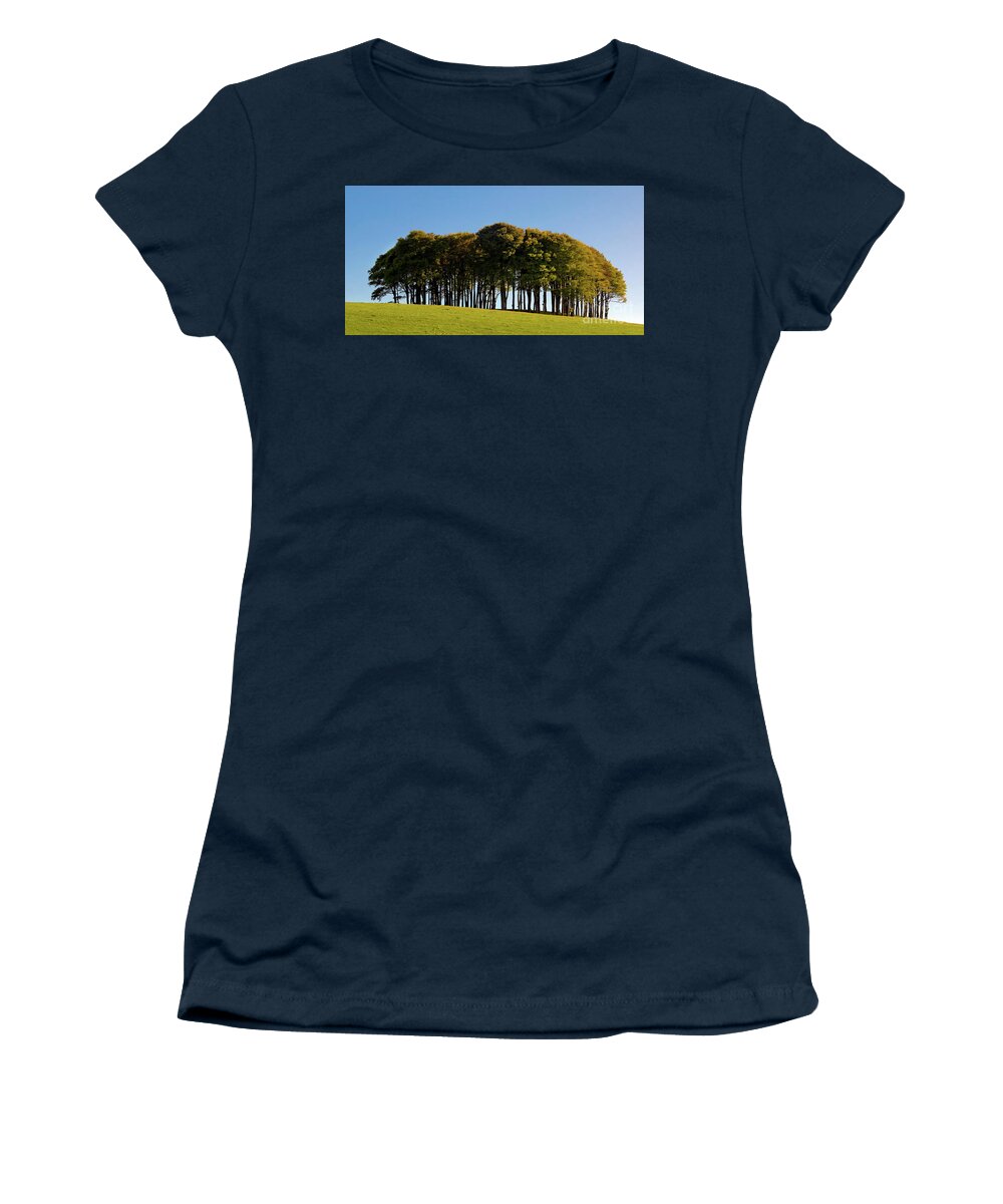 The Nearly Home Trees Women's T-Shirt featuring the photograph The Nearly Home Trees by Terri Waters