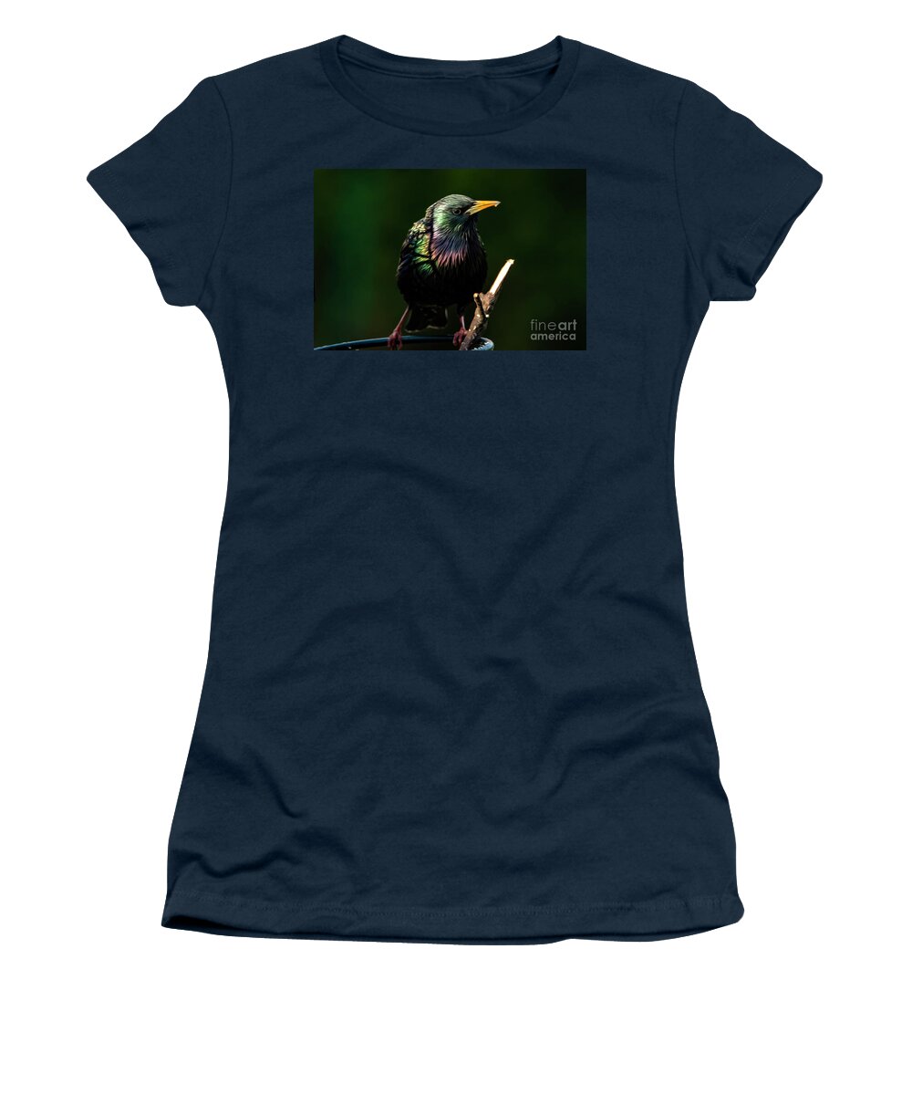Starling Women's T-Shirt featuring the photograph The Starling Bird Painting by Sandra J's