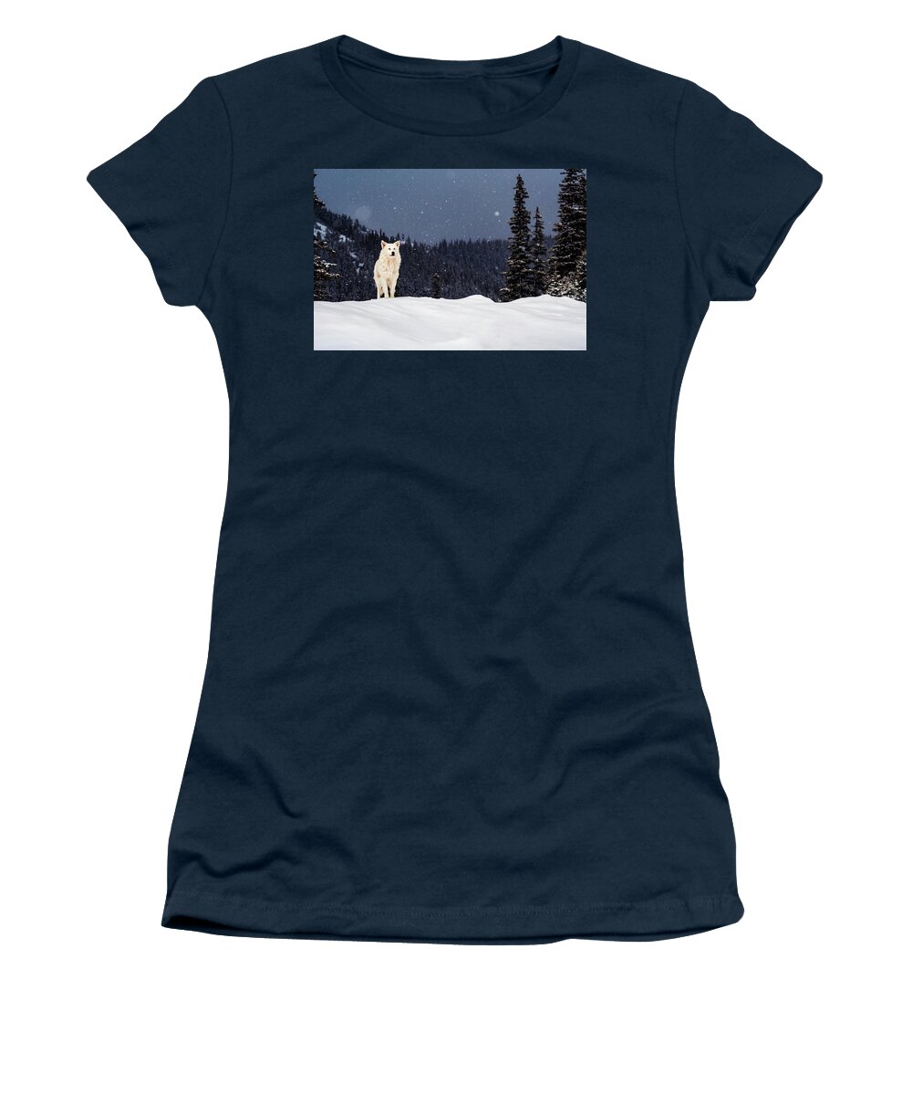 Animals Women's T-Shirt featuring the photograph The Wolf by Evgeni Dinev