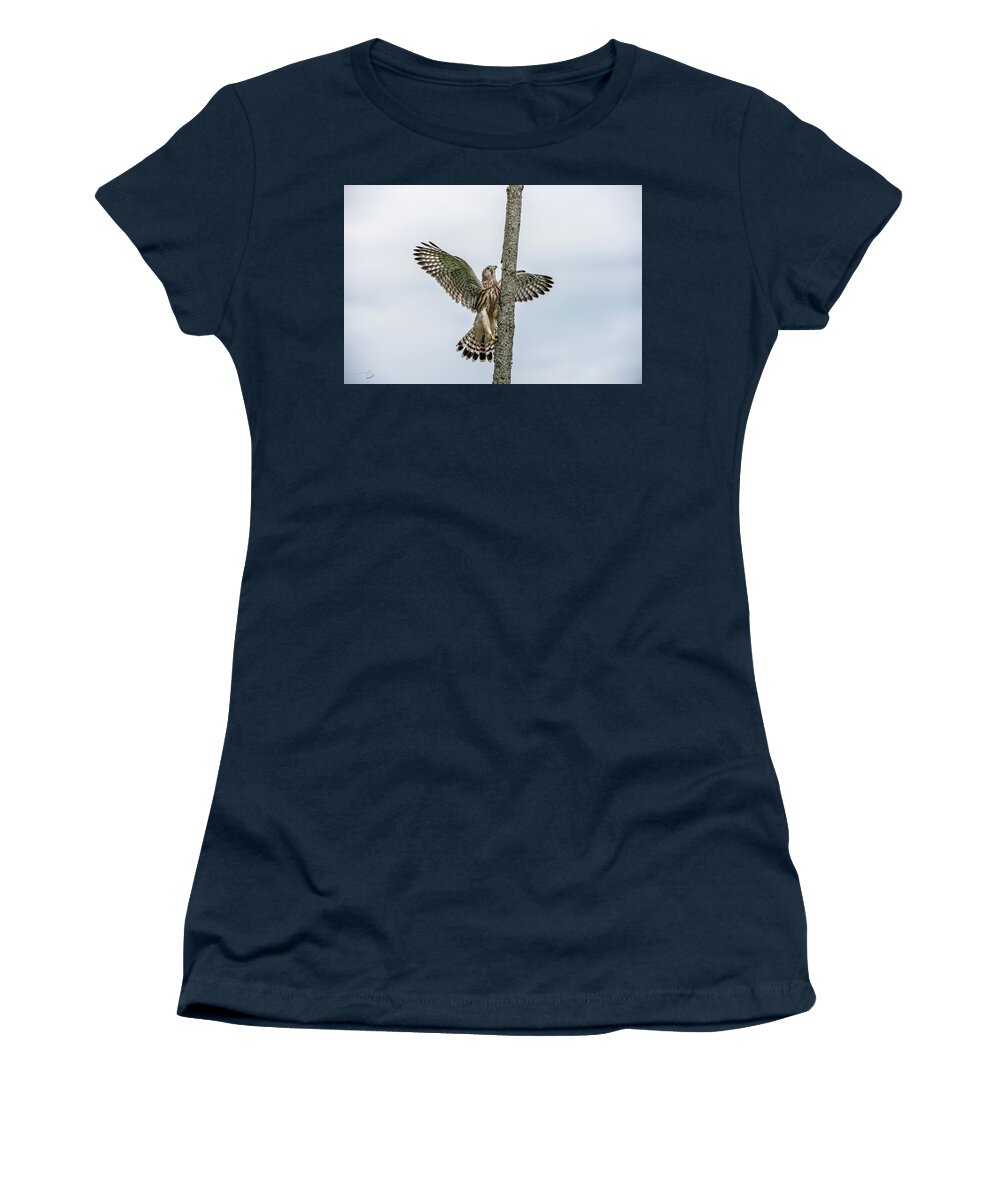 Kestrel Women's T-Shirt featuring the photograph The young Kestrel climb a wooden fence pole by Torbjorn Swenelius