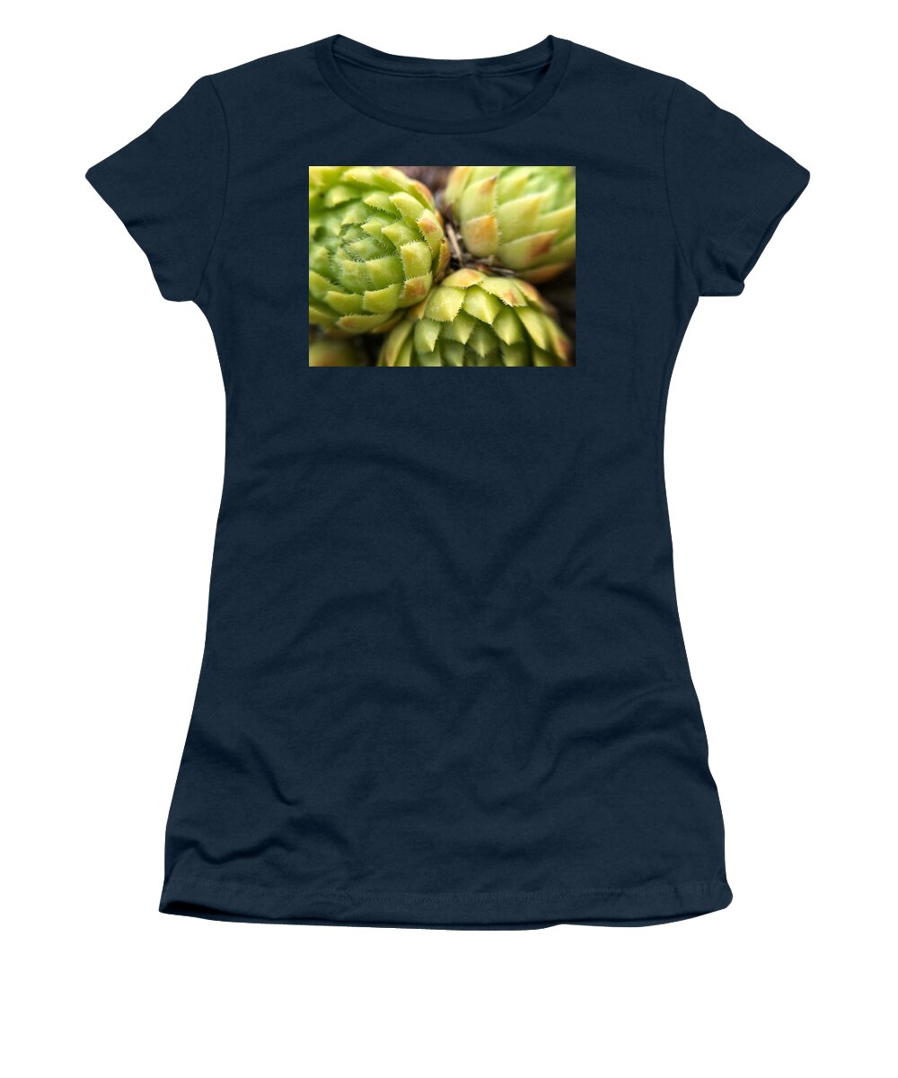 Nature Women's T-Shirt featuring the photograph Three Succulent Plants by Jori Reijonen