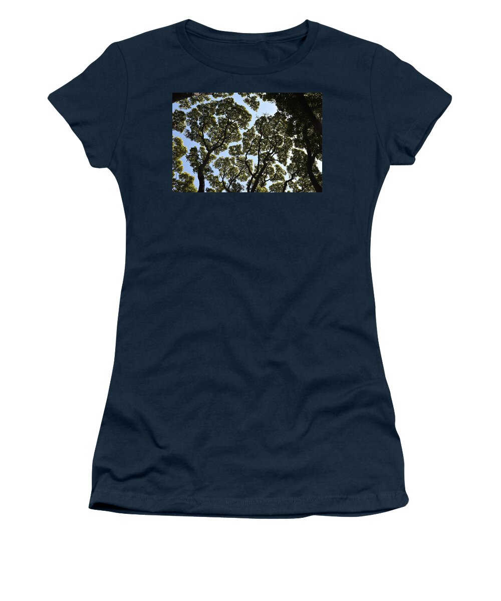Trees Women's T-Shirt featuring the photograph Tree Canopy by Ben Foster