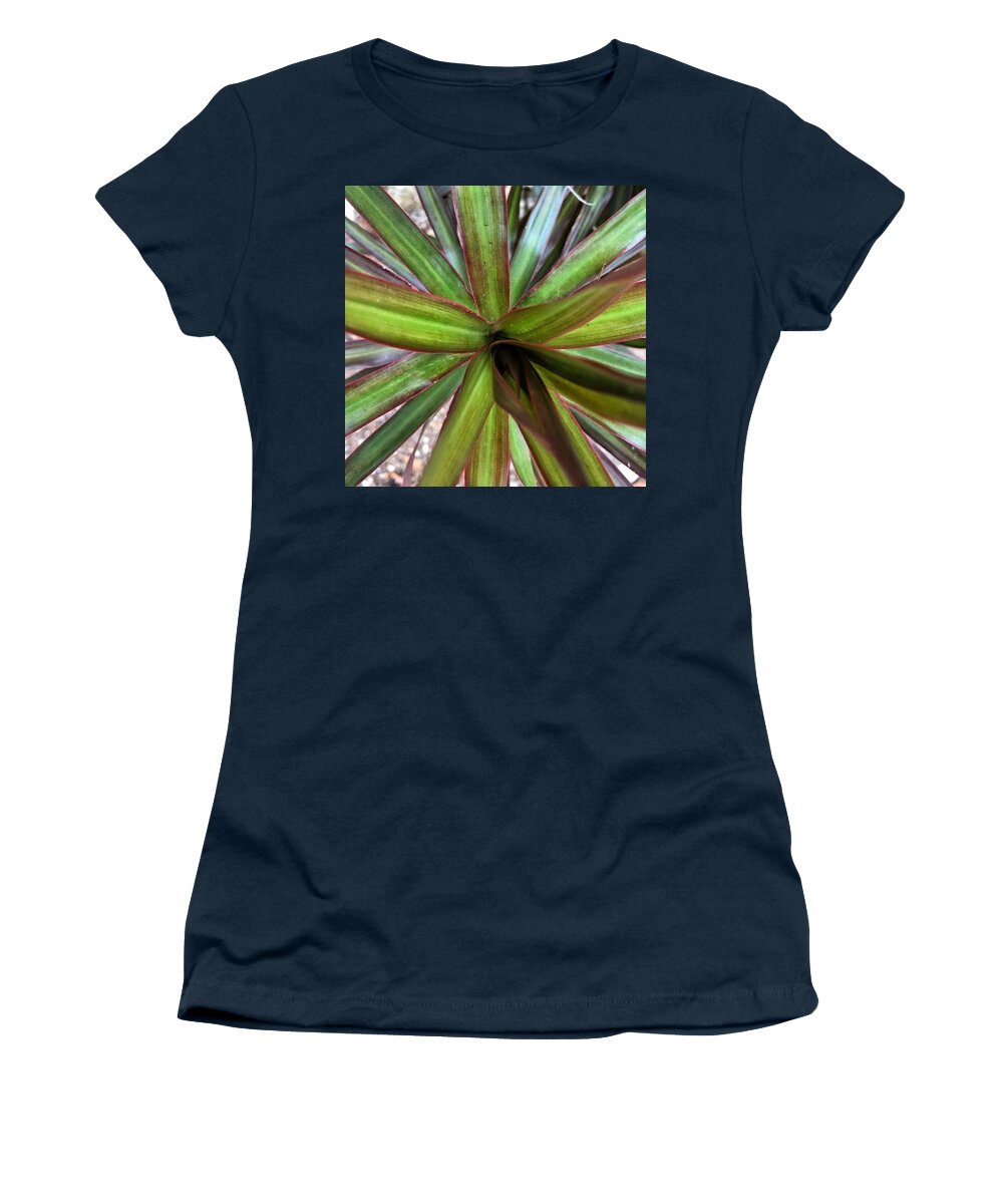 Tropical Climate Women's T-Shirt featuring the photograph Tri Color Draceana by Jori Reijonen