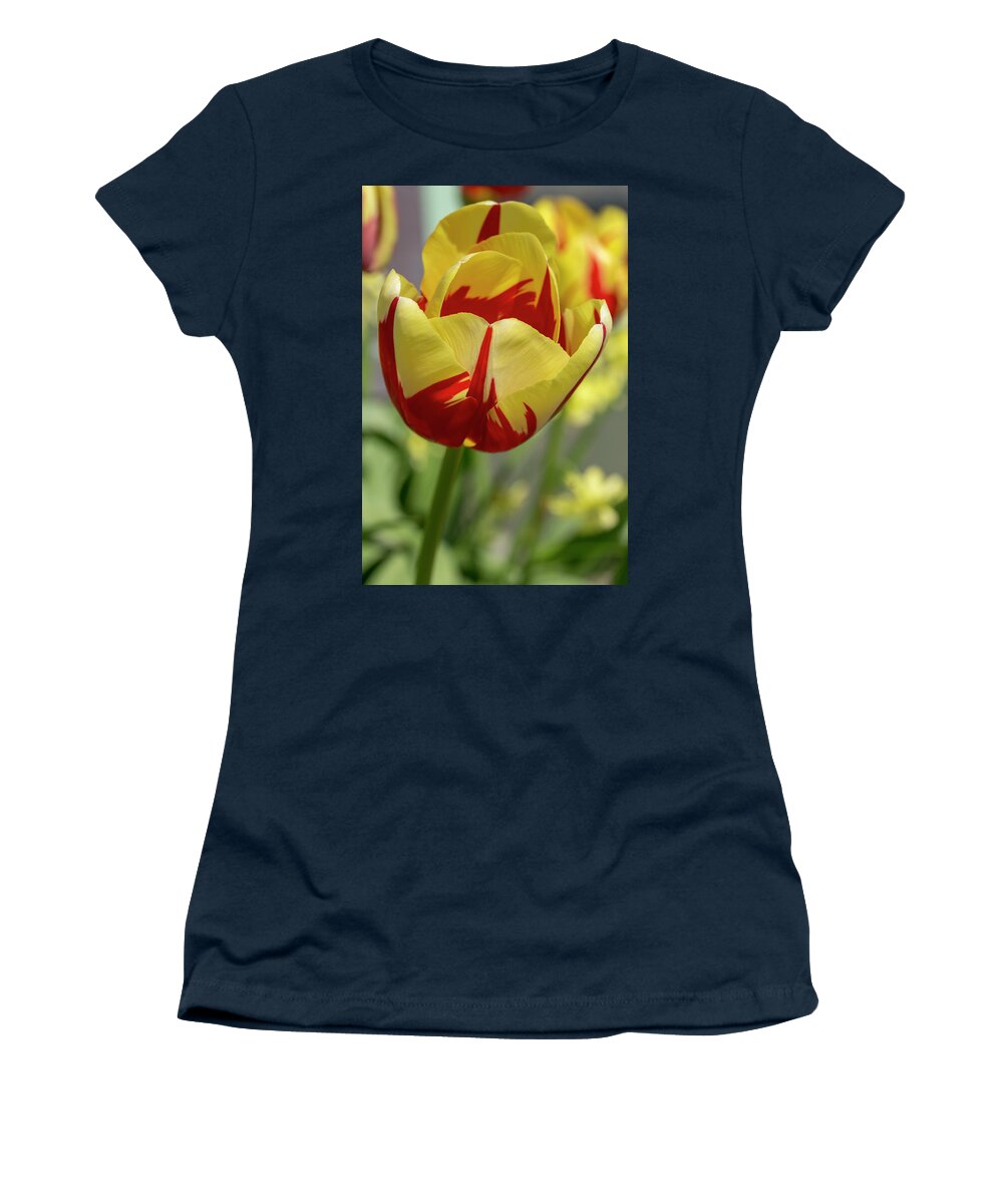 Tulips Women's T-Shirt featuring the photograph Tulip World Expression by Dawn Cavalieri