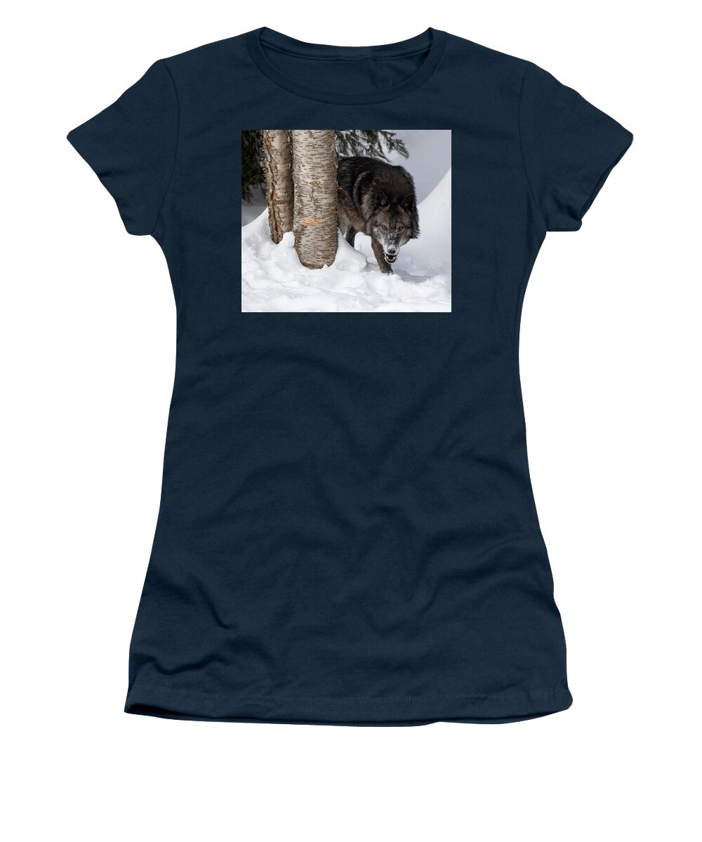 Wolf Women's T-Shirt featuring the photograph Uh Oh by Art Cole