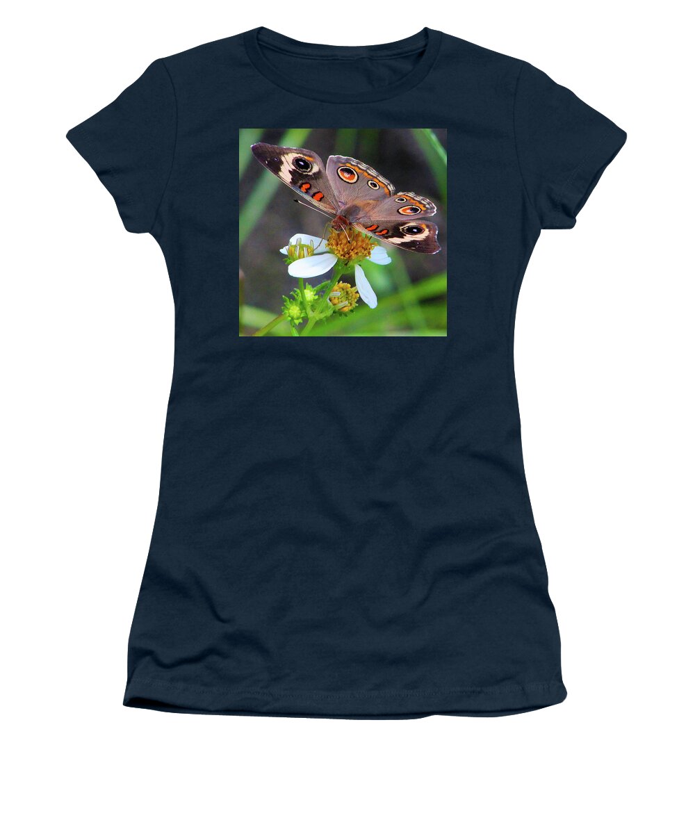 Butterfly Women's T-Shirt featuring the photograph Uncommon Buckeye by Michael Allard