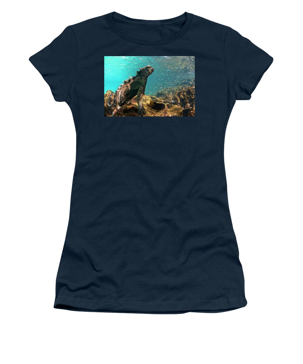 Animals Women's T-Shirt featuring the photograph Underwater Marine Iguana by Tui De Roy