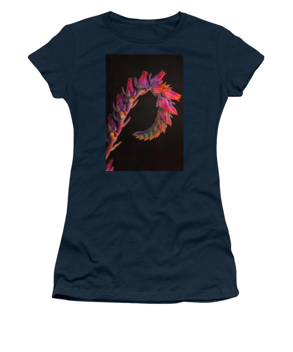 California Women's T-Shirt featuring the photograph Vibrant Arc by Laura Roberts