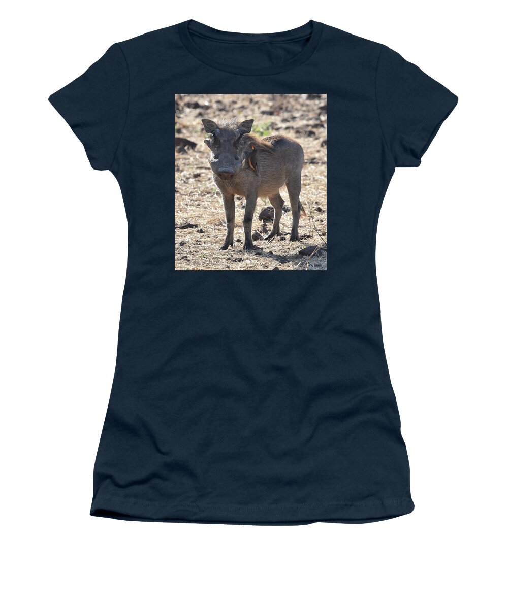 Warthog Women's T-Shirt featuring the photograph Warthog with Oxpecker by Ben Foster
