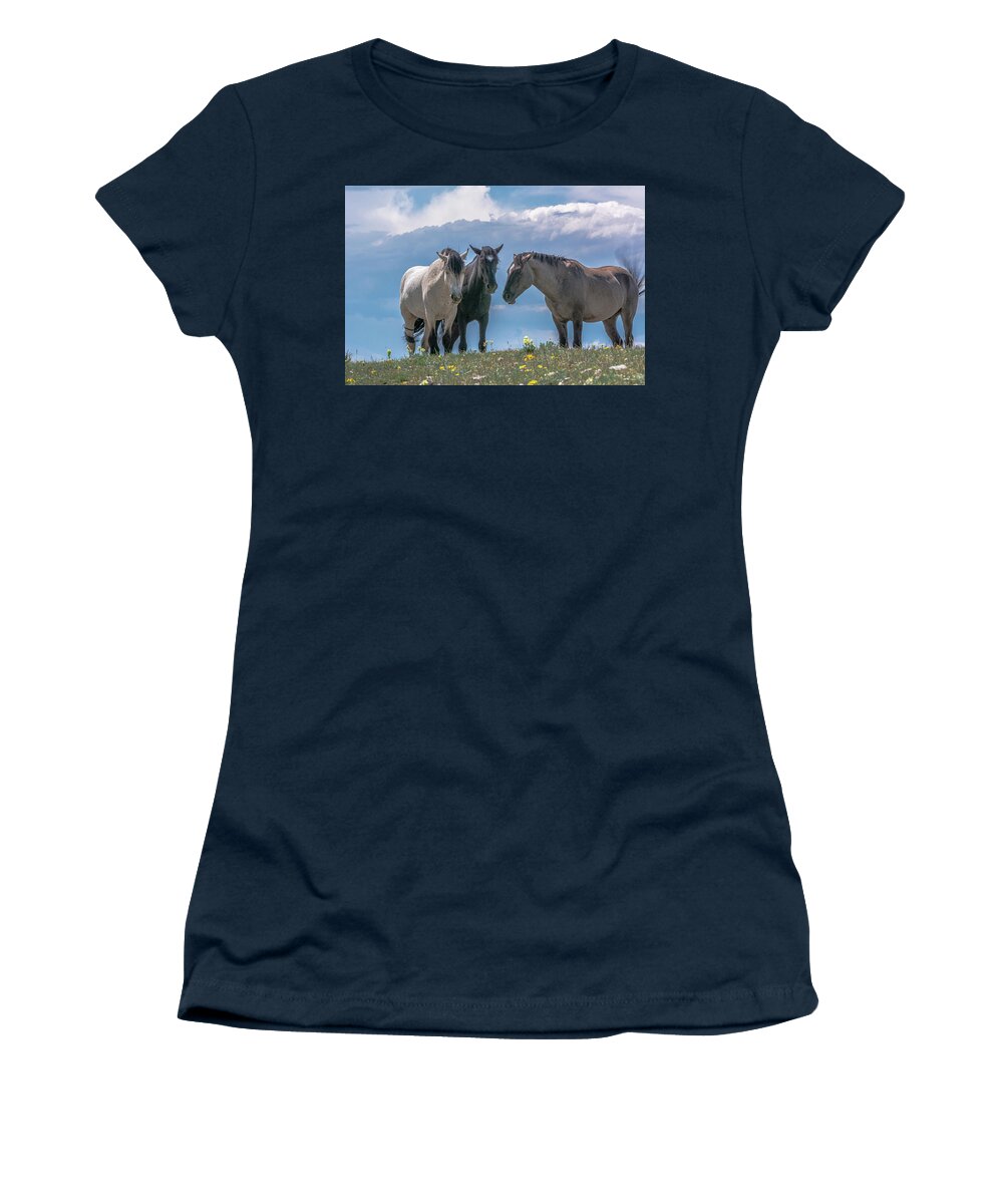 Pryor Mountain Women's T-Shirt featuring the photograph Wild Mustangs of Montana by Douglas Wielfaert