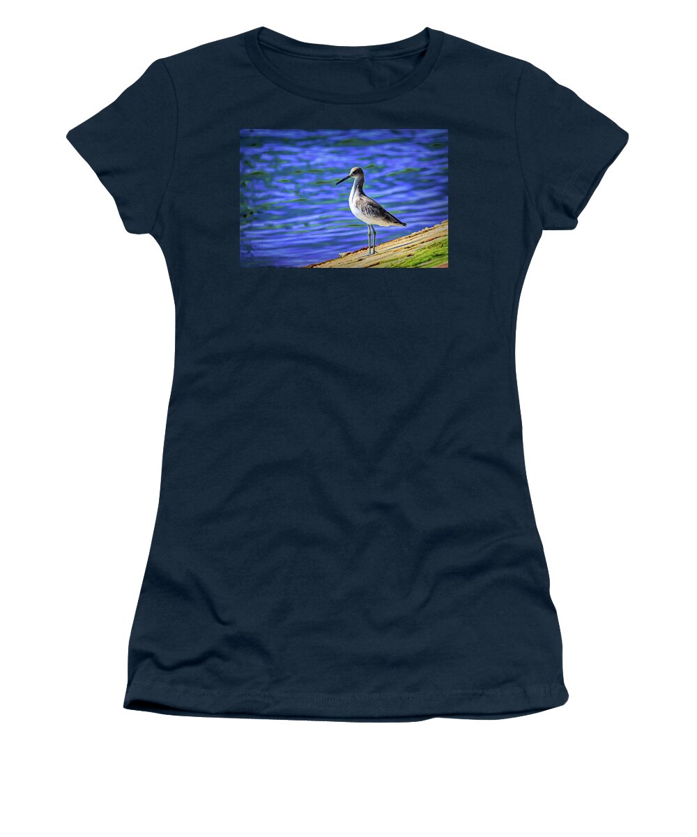 Debra Martz Women's T-Shirt featuring the photograph Willet Working the Jetties by Debra Martz