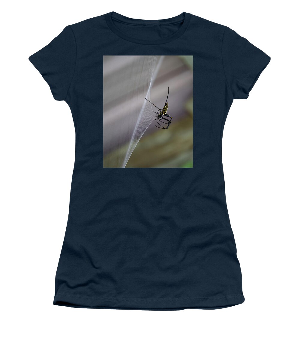 Spider Women's T-Shirt featuring the photograph Winter Spider by Chris Lord