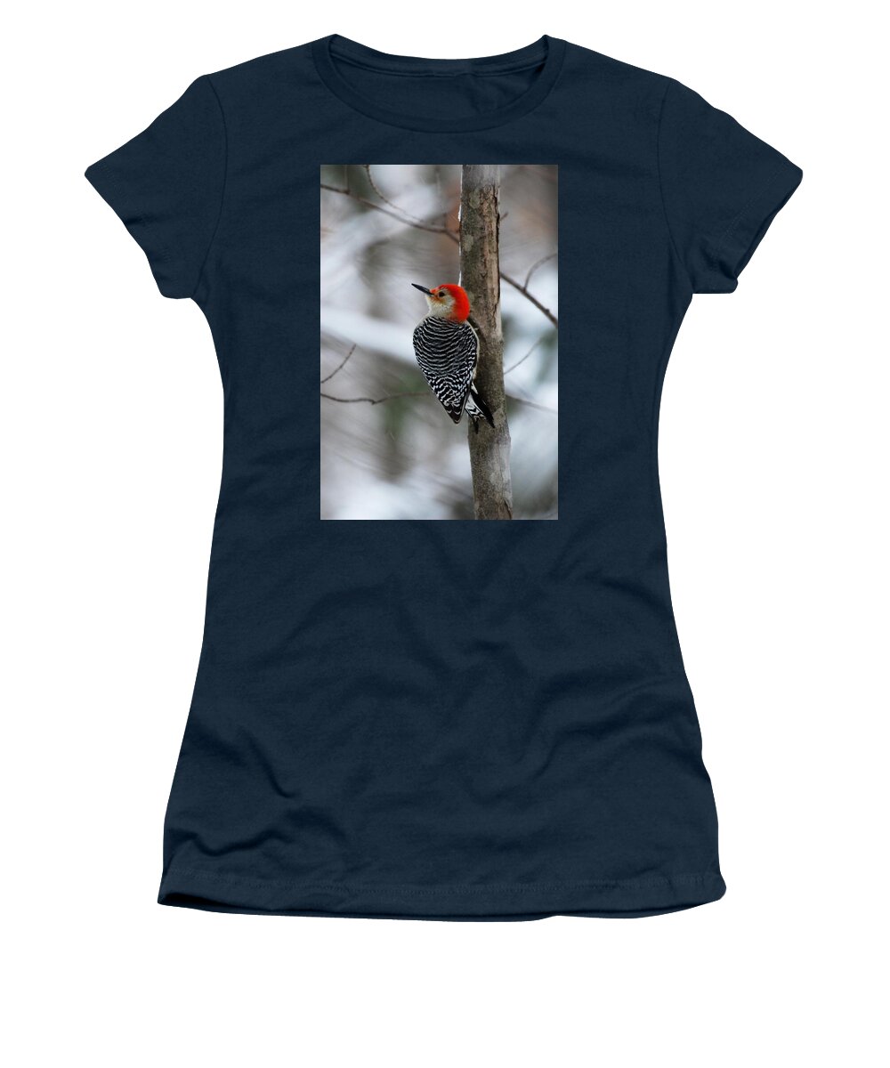 Red Bellied Woodpecker Women's T-Shirt featuring the photograph Winter Visitor by Sonja Jones