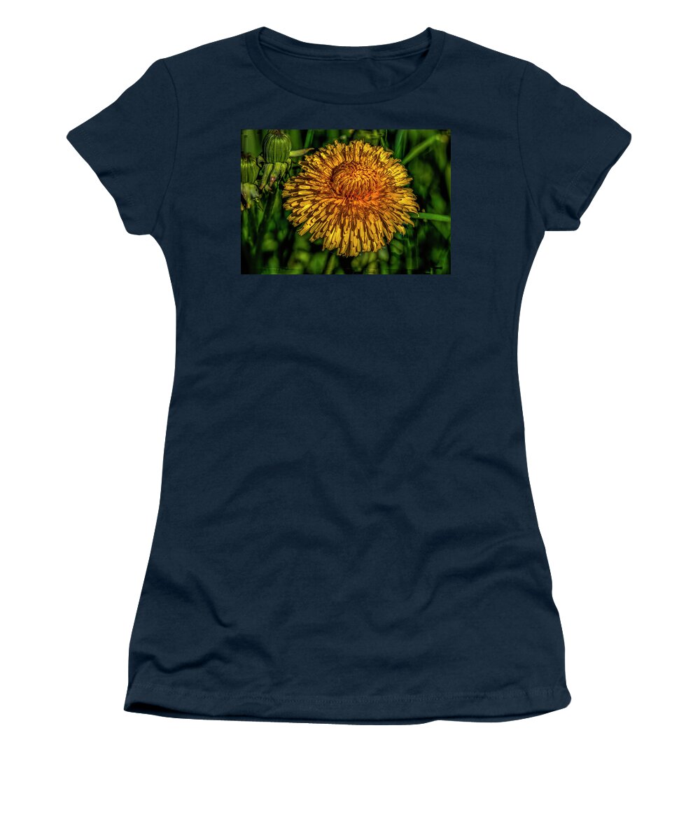 Dandelions Women's T-Shirt featuring the photograph Yellow and orange on dark green #i7 by Leif Sohlman