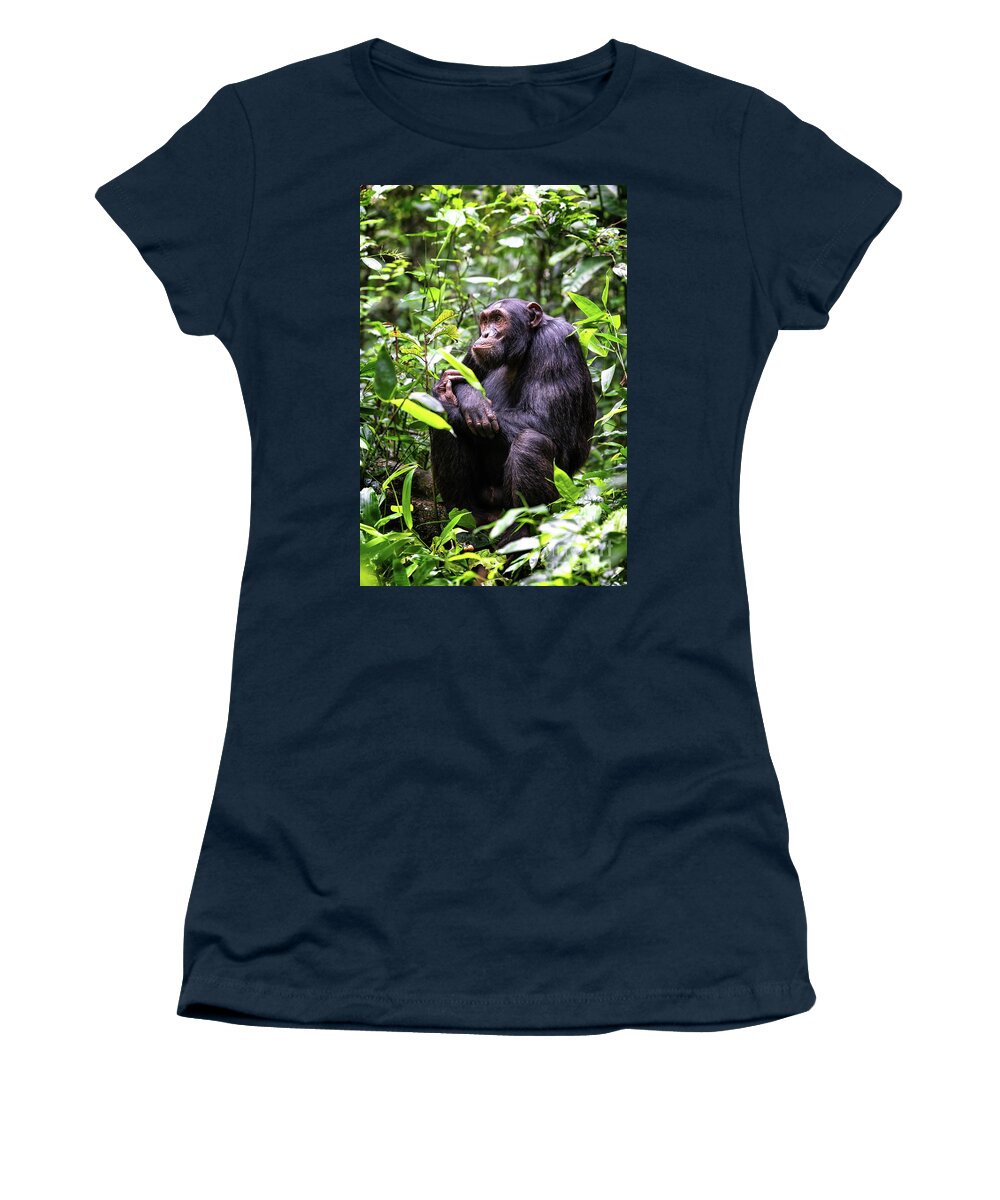 Adult Women's T-Shirt featuring the photograph Adult chimpanzee, pan troglodytes, in the tropical rainforest of #1 by Jane Rix