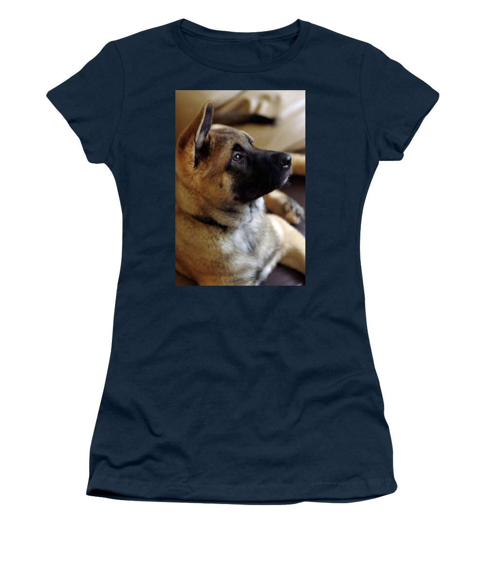German Shepherd Women's T-Shirt featuring the photograph Ares #1 by Raymond Hill
