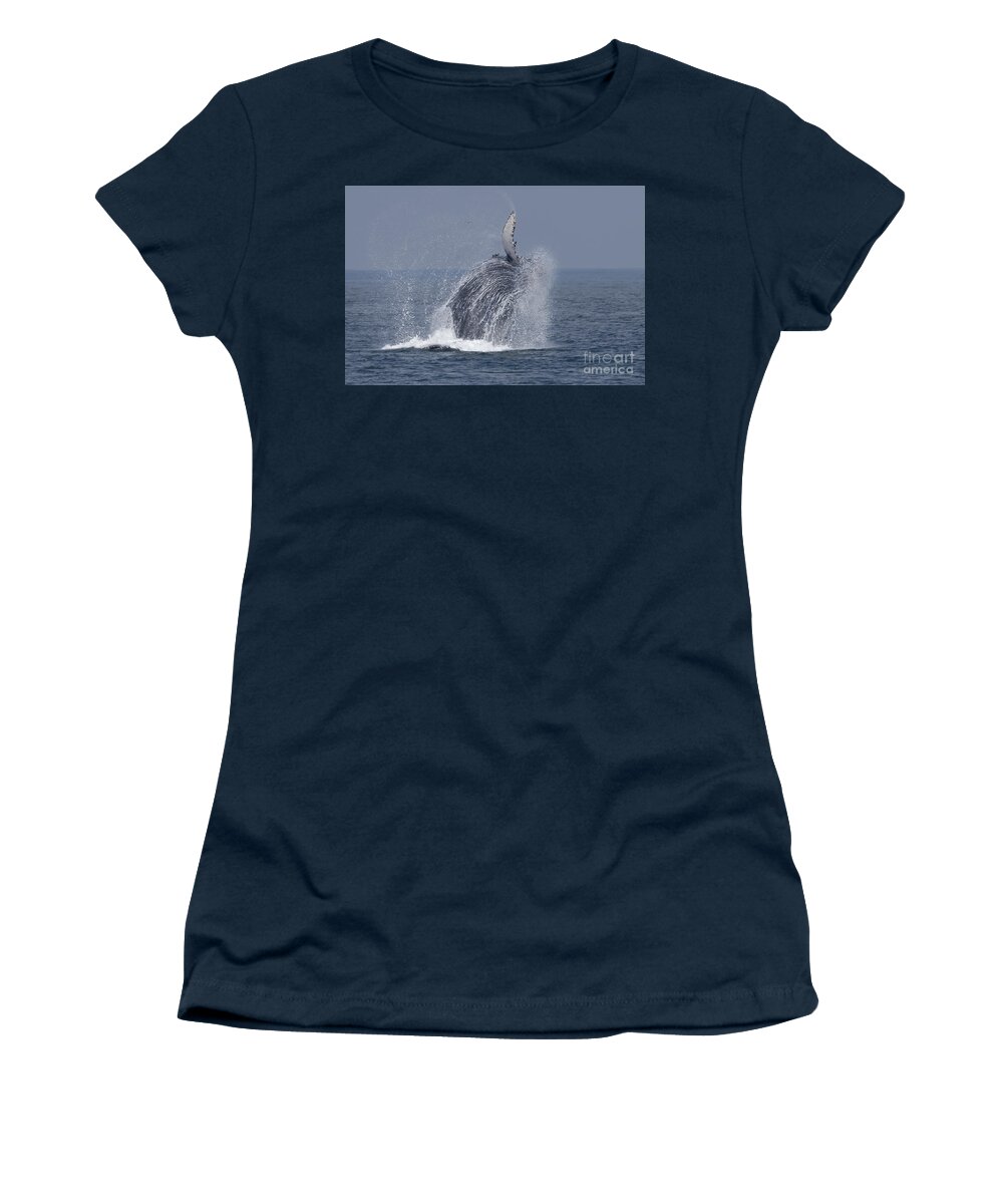 Princess Monterey Women's T-Shirt featuring the photograph Breaching Humpback #1 by Loriannah Hespe