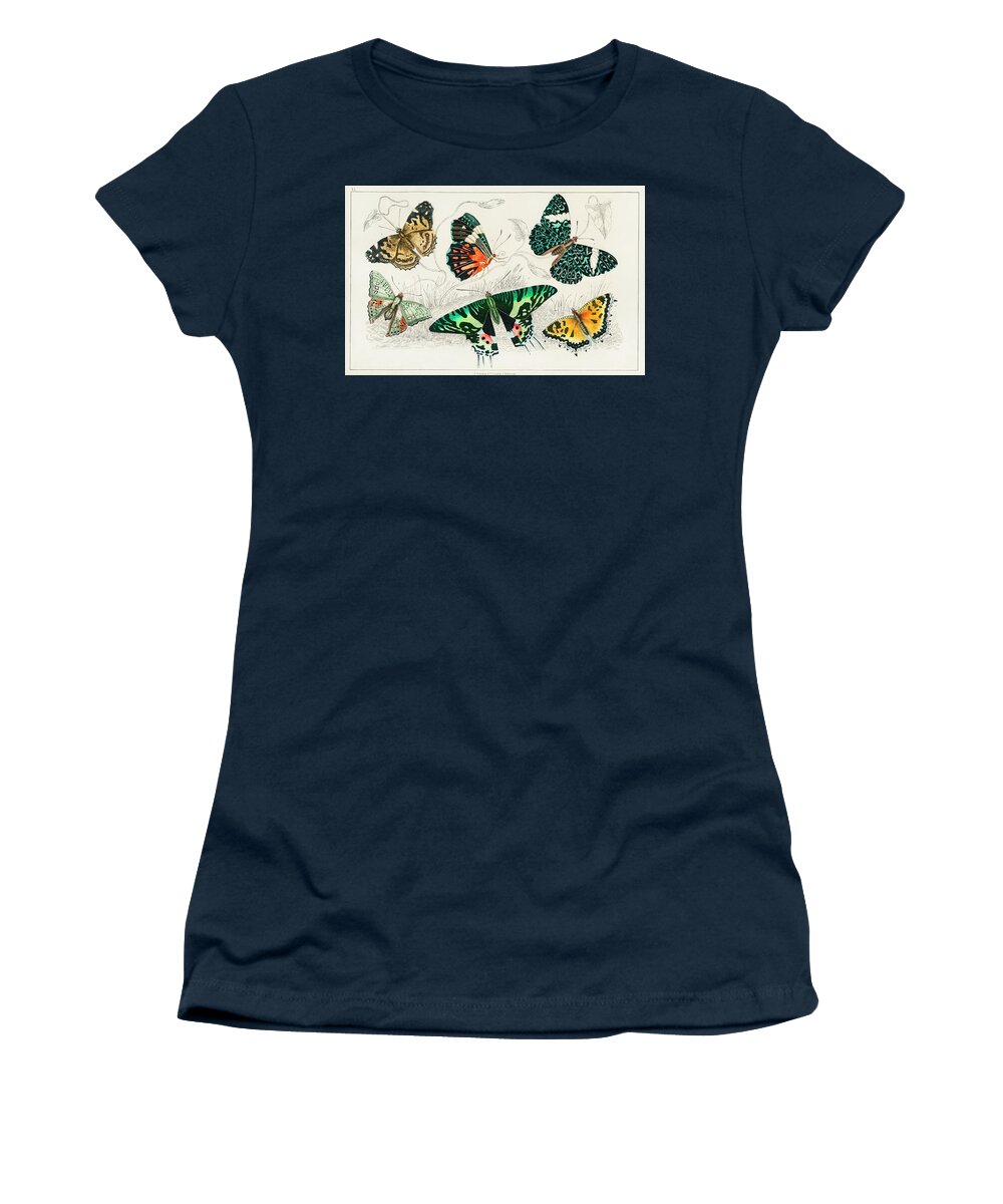 Vintage Print Women's T-Shirt featuring the painting Collection of Various Butterflies #1 by World Art Collective