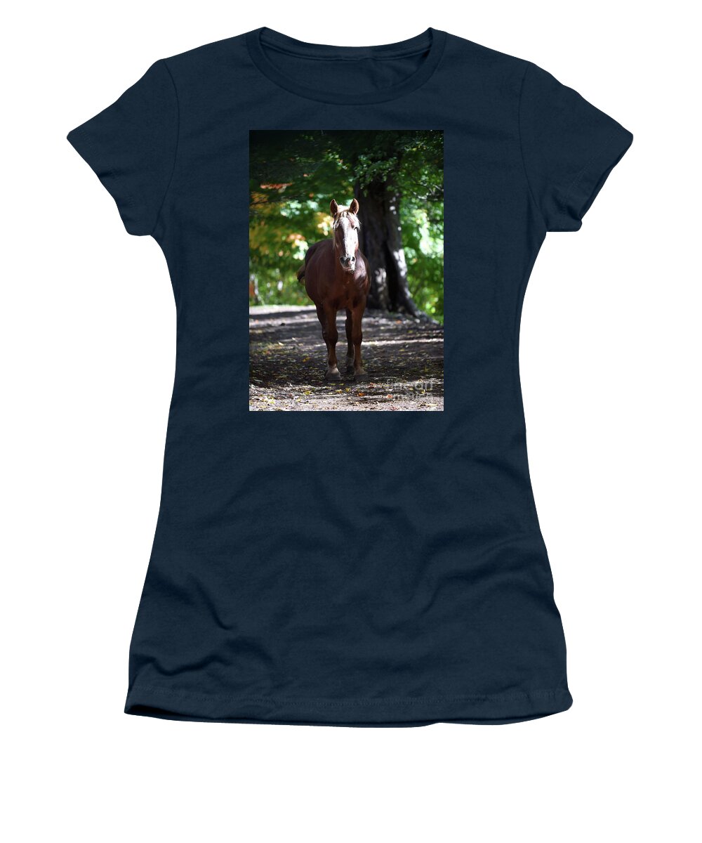 Rosemary Farm Women's T-Shirt featuring the photograph Harper #1 by Carien Schippers