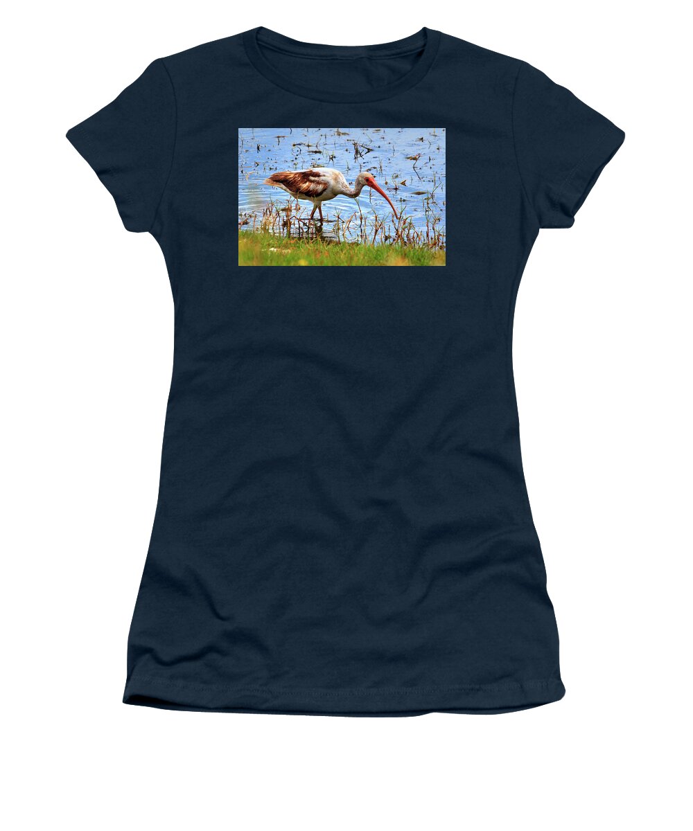 Birds Women's T-Shirt featuring the photograph Immature White Ibis by Robert Harris