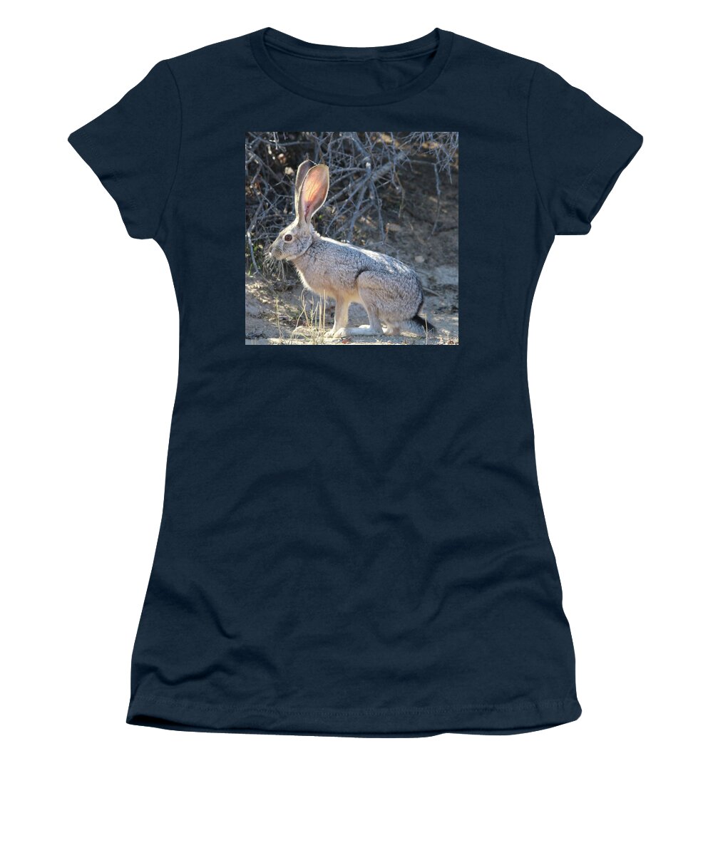 Jack Rabbit Women's T-Shirt featuring the photograph Jack Rabbit #1 by Perry Hoffman