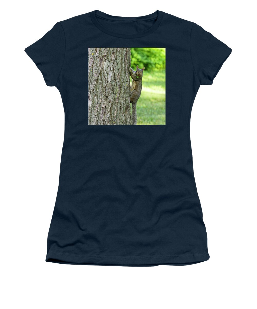 Squirrel Climbing Tree Eating Women's T-Shirt featuring the photograph Mr. Squirrel #1 by David Morehead
