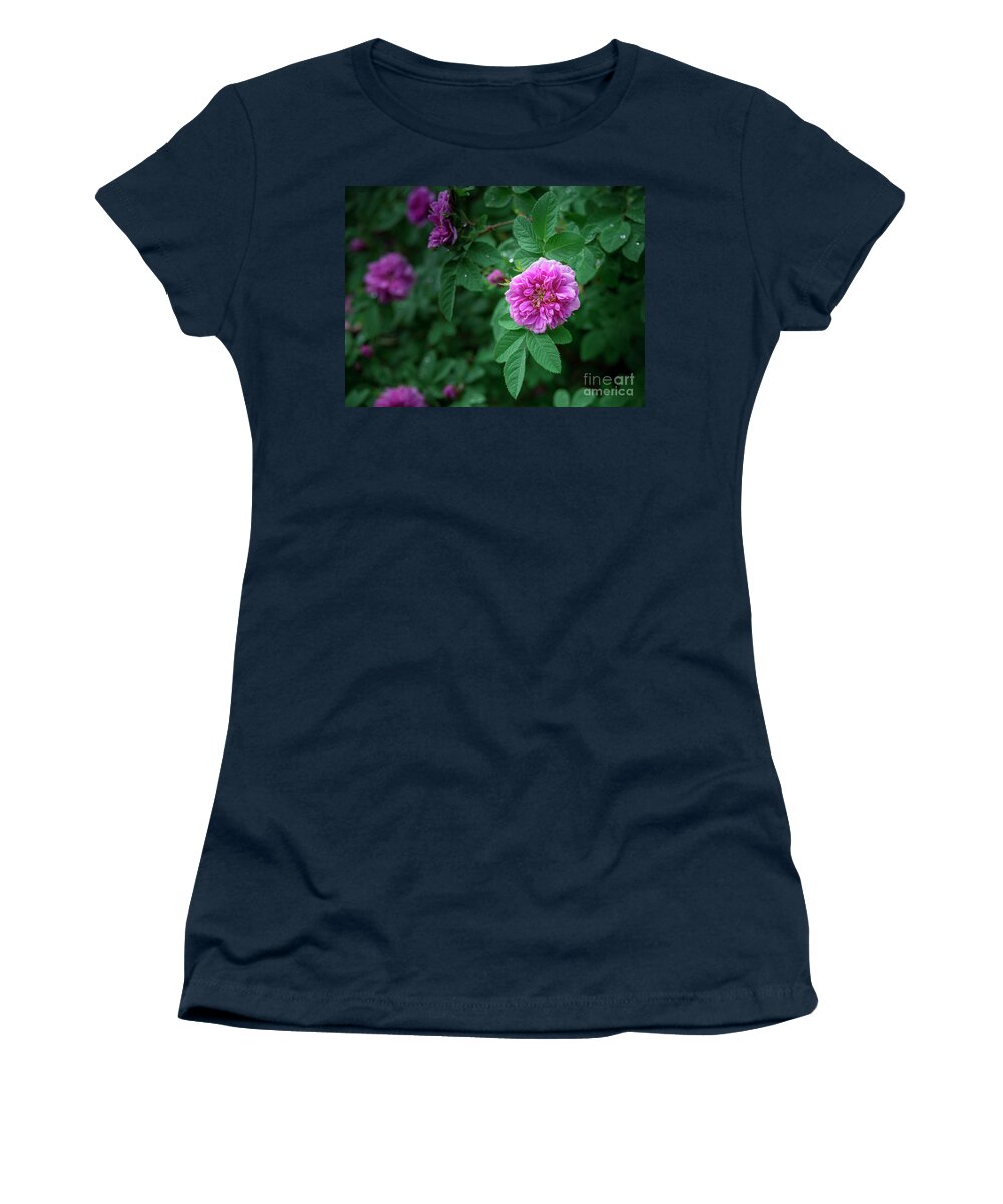 Maine Women's T-Shirt featuring the photograph Pink Wild Roses #1 by Alana Ranney
