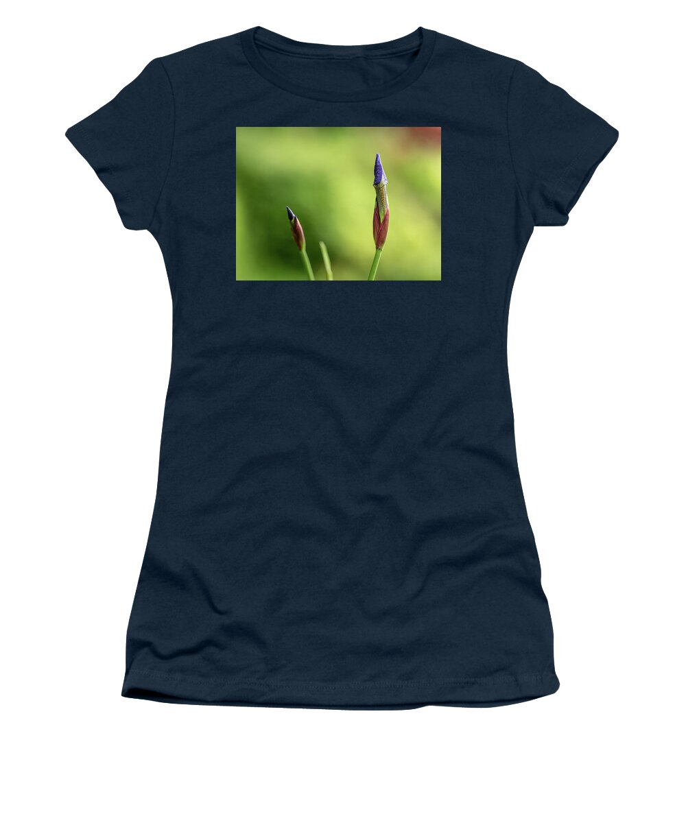 Spring Women's T-Shirt featuring the photograph Siberian iris - Iris sibirica #1 by Average Images