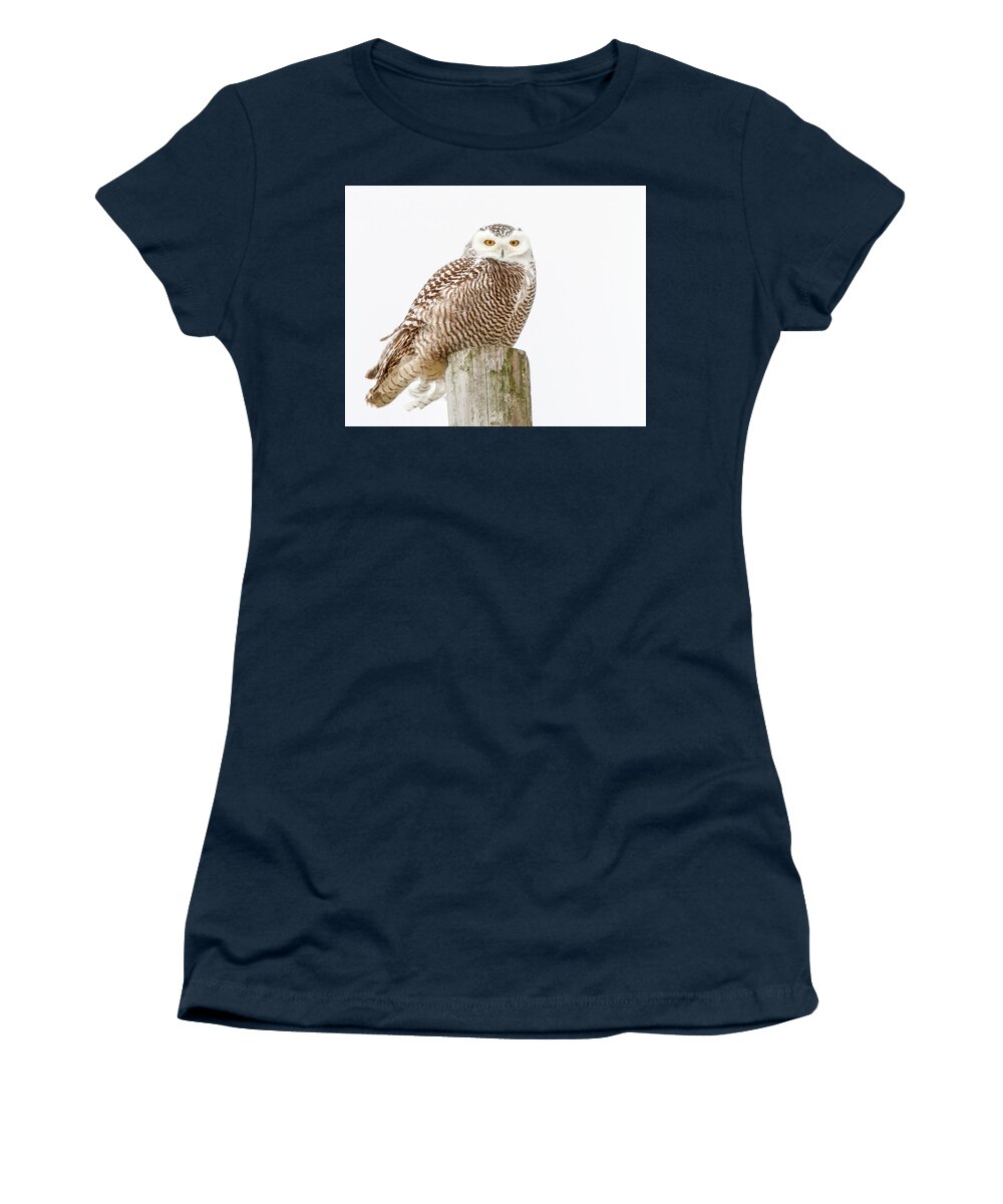 Owl Women's T-Shirt featuring the photograph Snowy Owl #1 by Timothy McIntyre