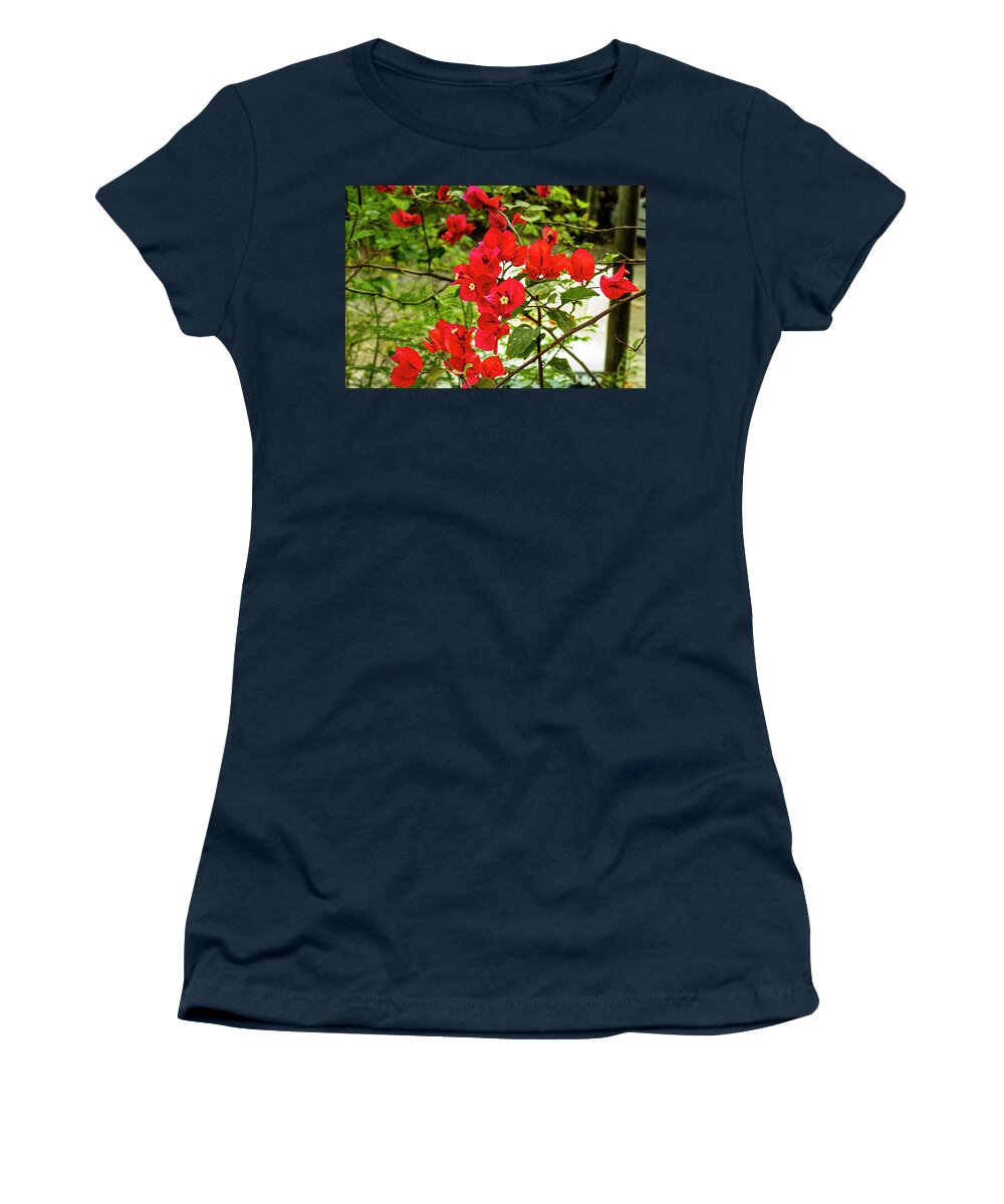 Bougainvillea Spectabilis Women's T-Shirt featuring the photograph The Great Bougainvillea #1 by Aydin Gulec