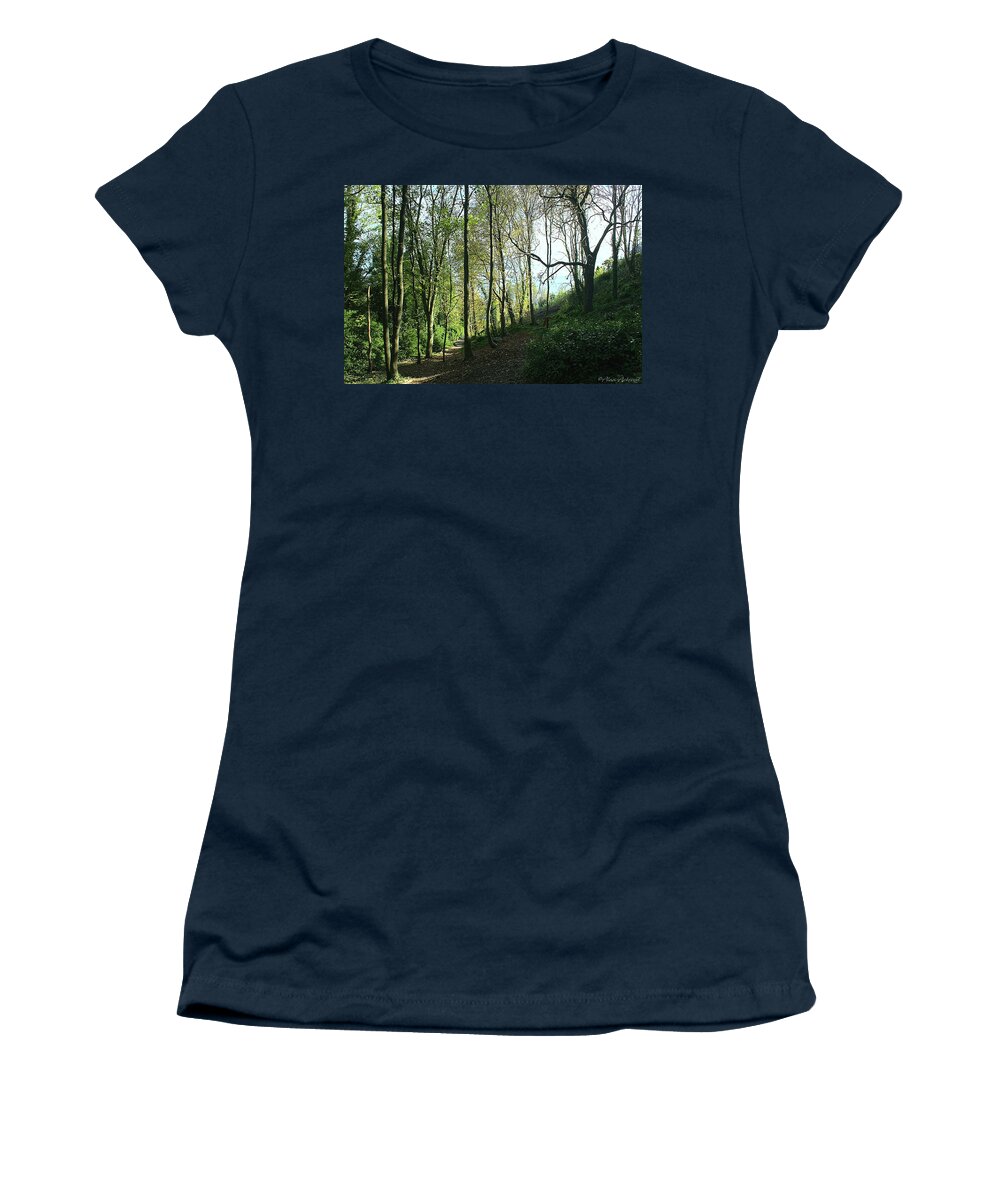 Trees Women's T-Shirt featuring the photograph Woodland at Wakeham #2 by Alan Ackroyd